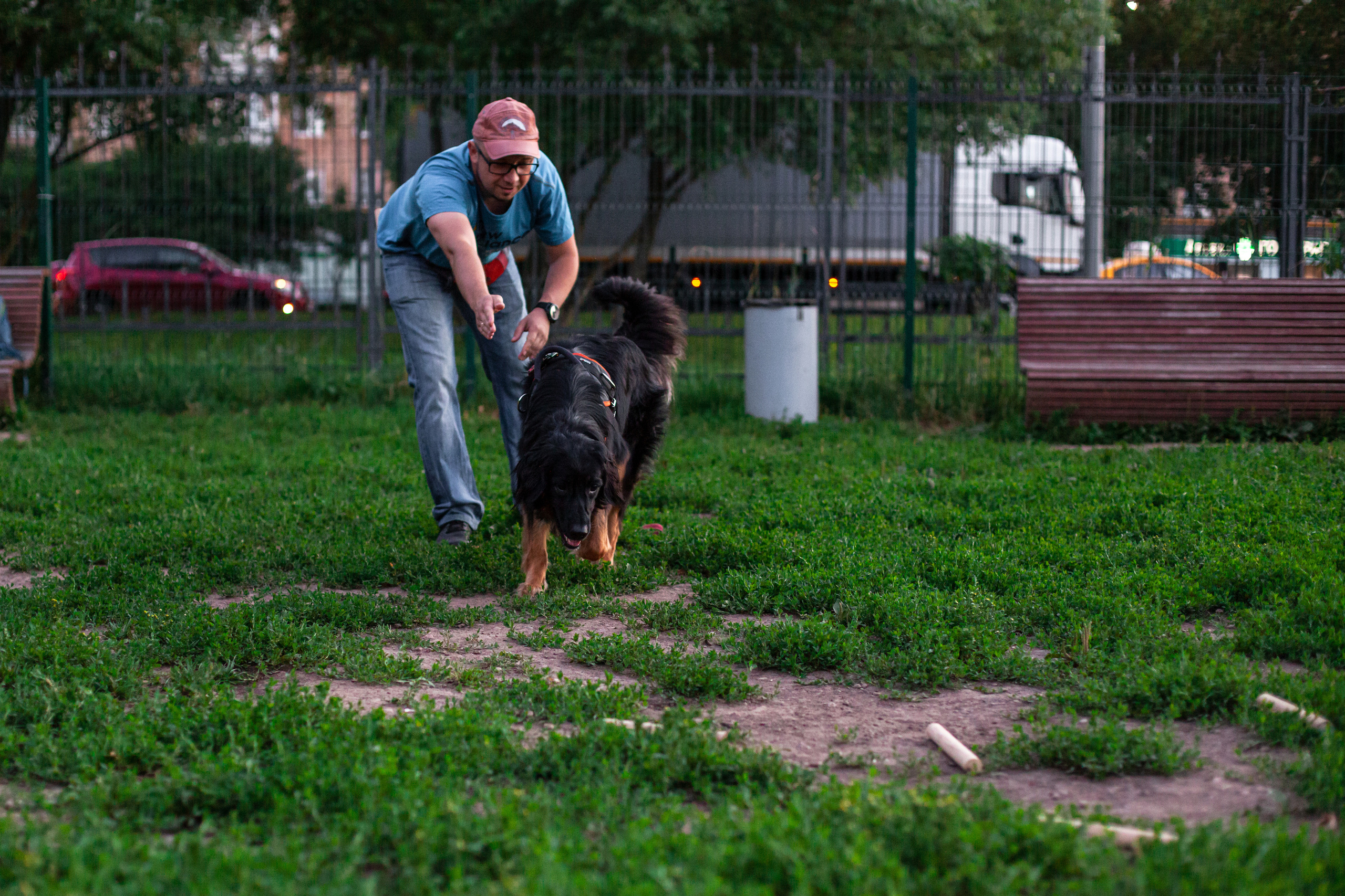 Занятие ЗКС+Выборка 2022. Фотограф-анималист Татьяна Степанова
