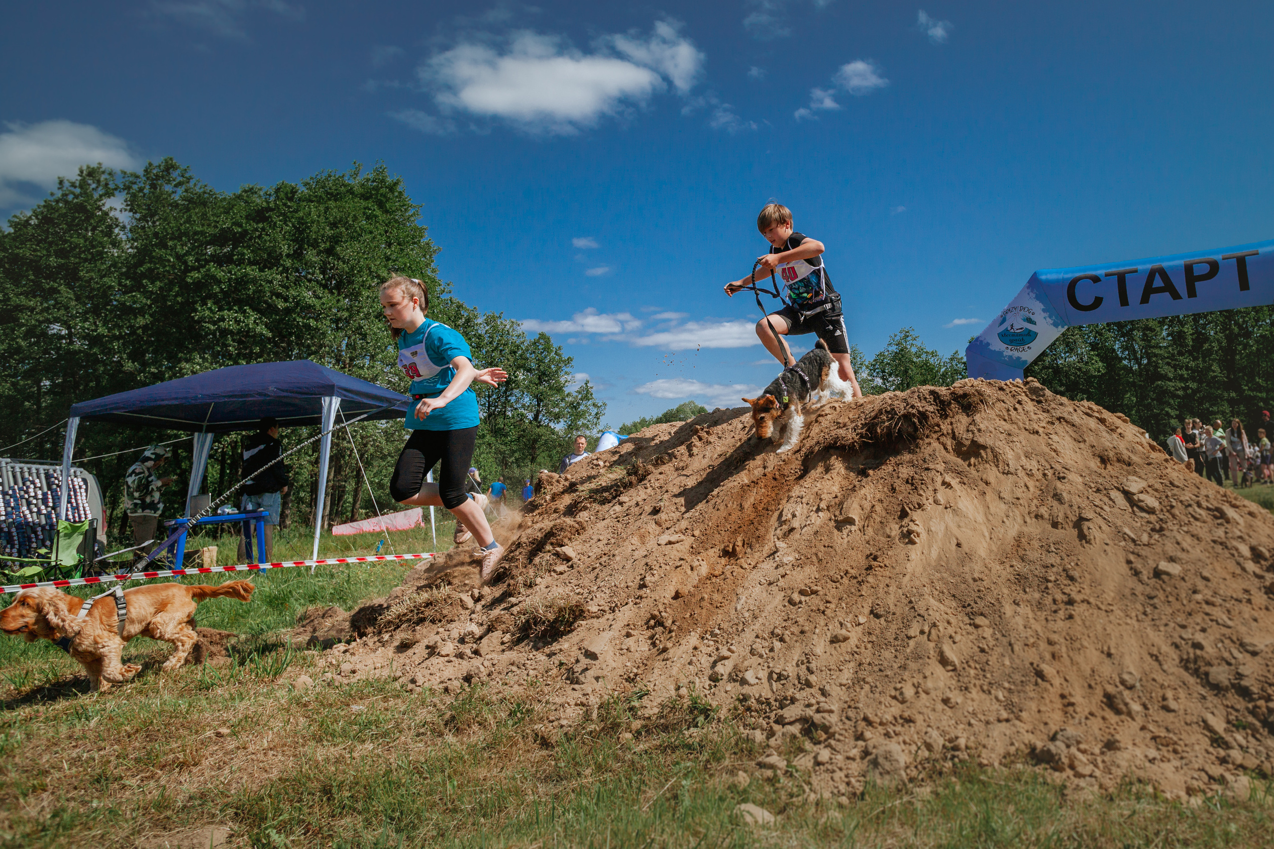 Хвостатый Драйв 11.06.2023. Фотограф-анималист Татьяна Степанова