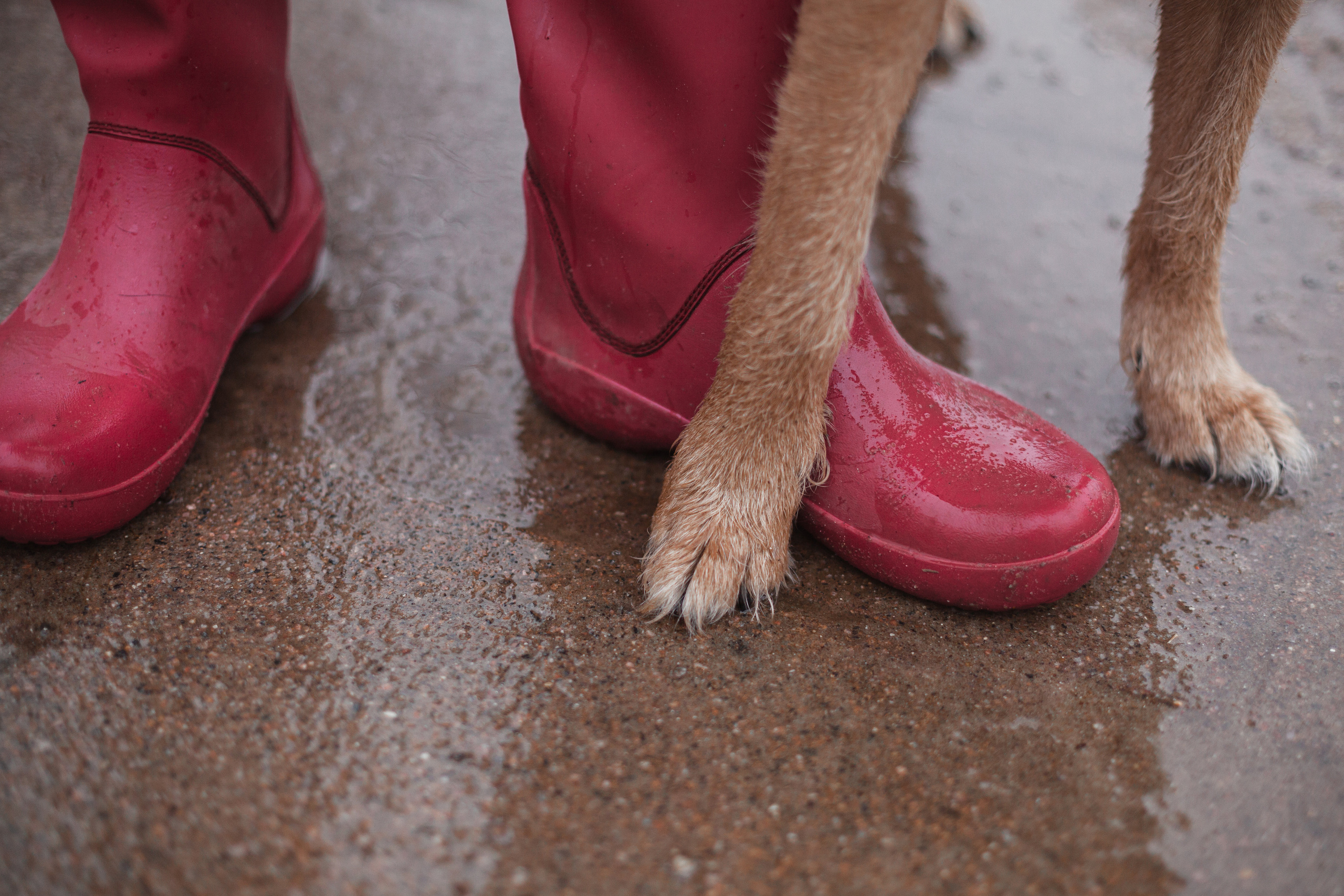 Лиза и Бренда. Фотограф-анималист Татьяна Степанова
