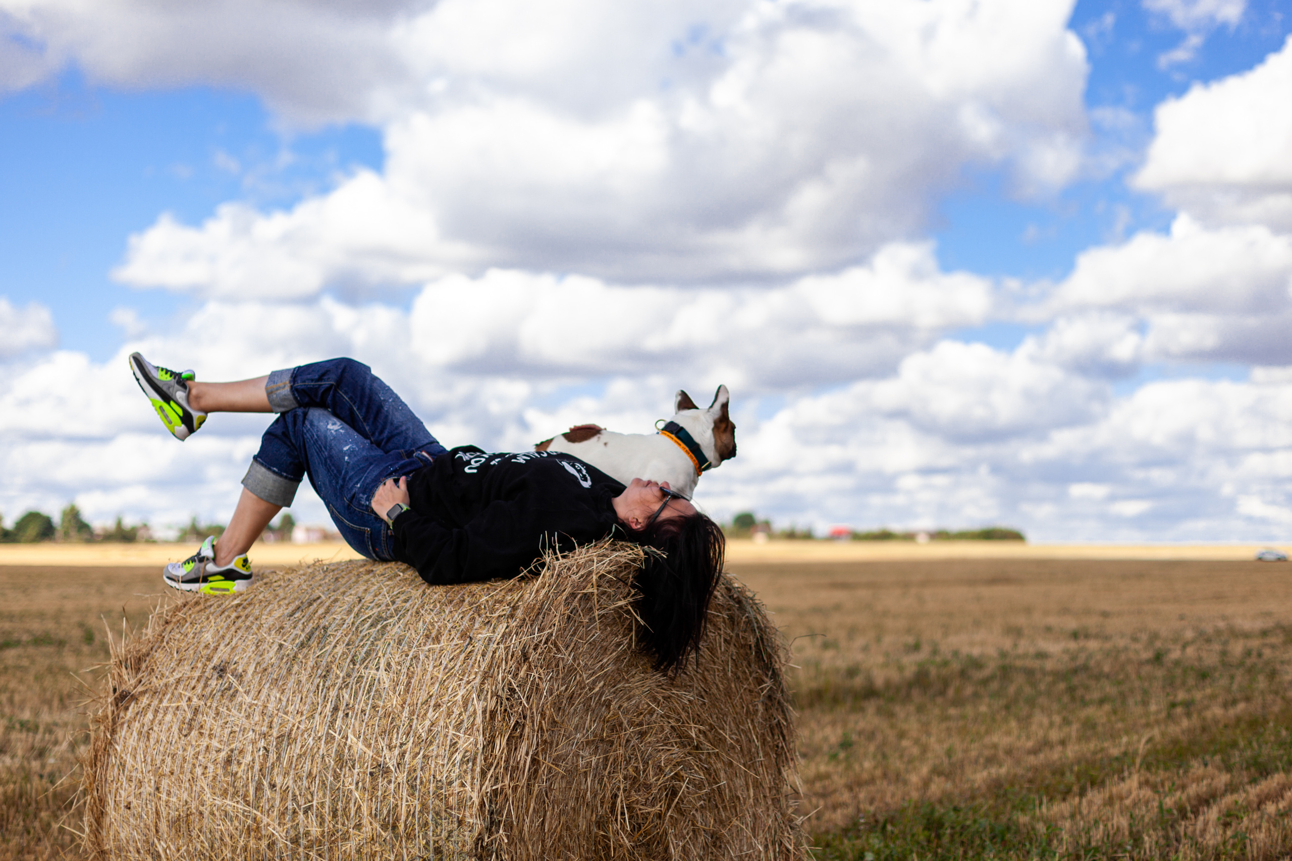 Коломна, стога и подсолнухи. Фотограф-анималист Татьяна Степанова