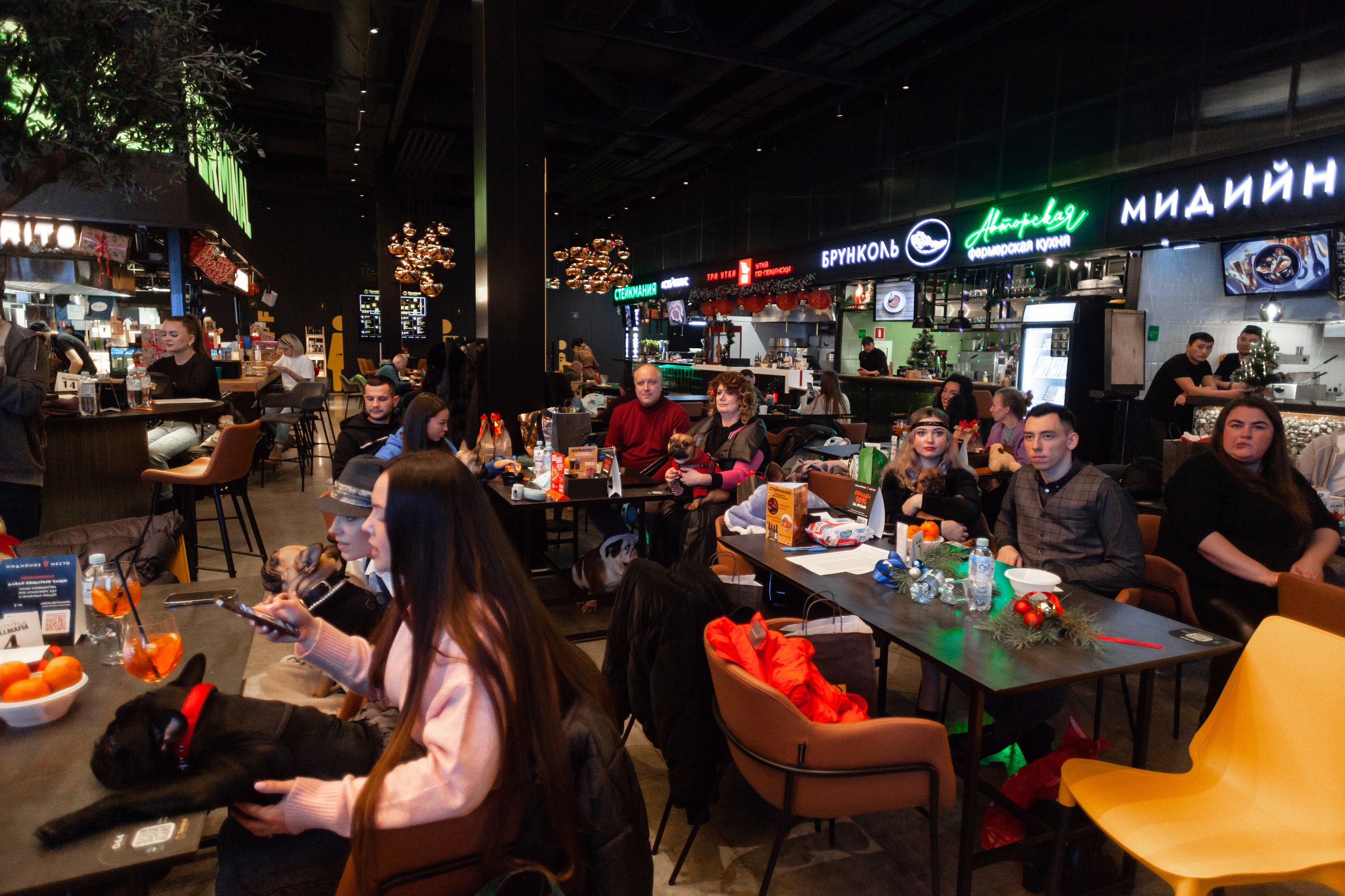 Бульелка 2022. Фотограф-анималист Татьяна Степанова