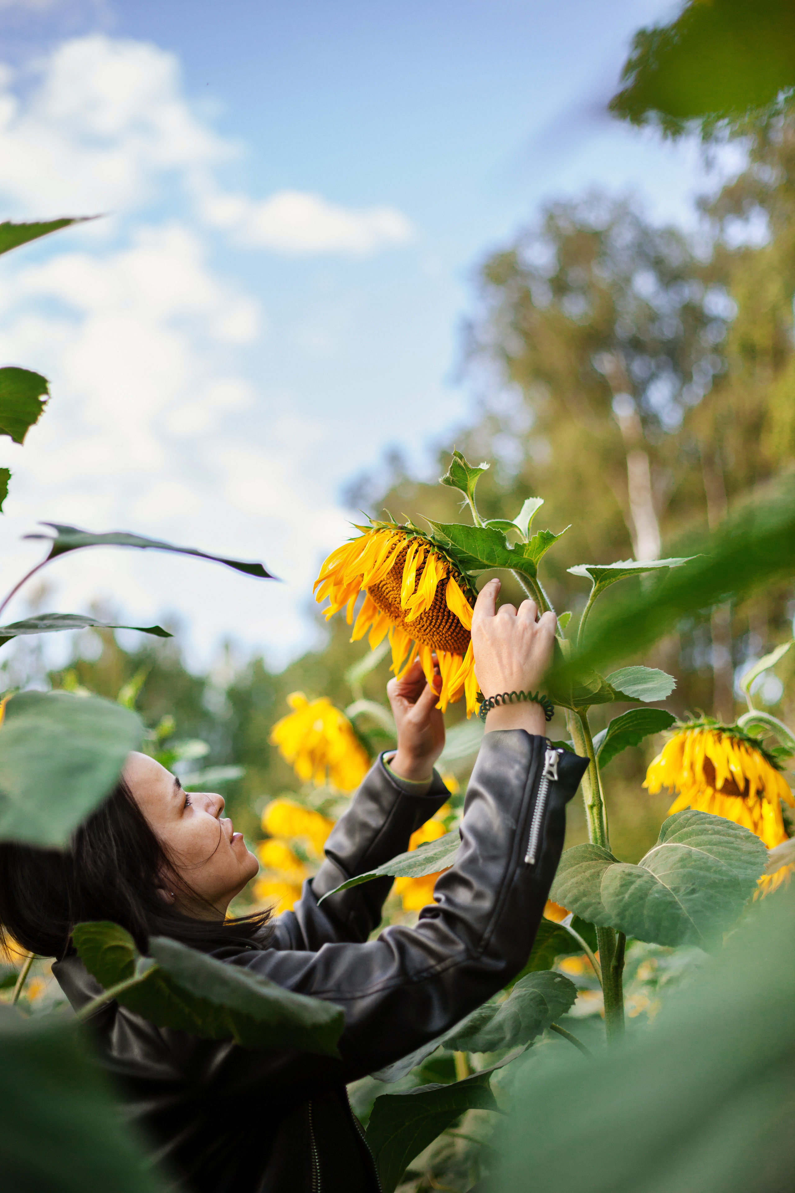 Коломна, стога и подсолнухи. Фотограф-анималист Татьяна Степанова