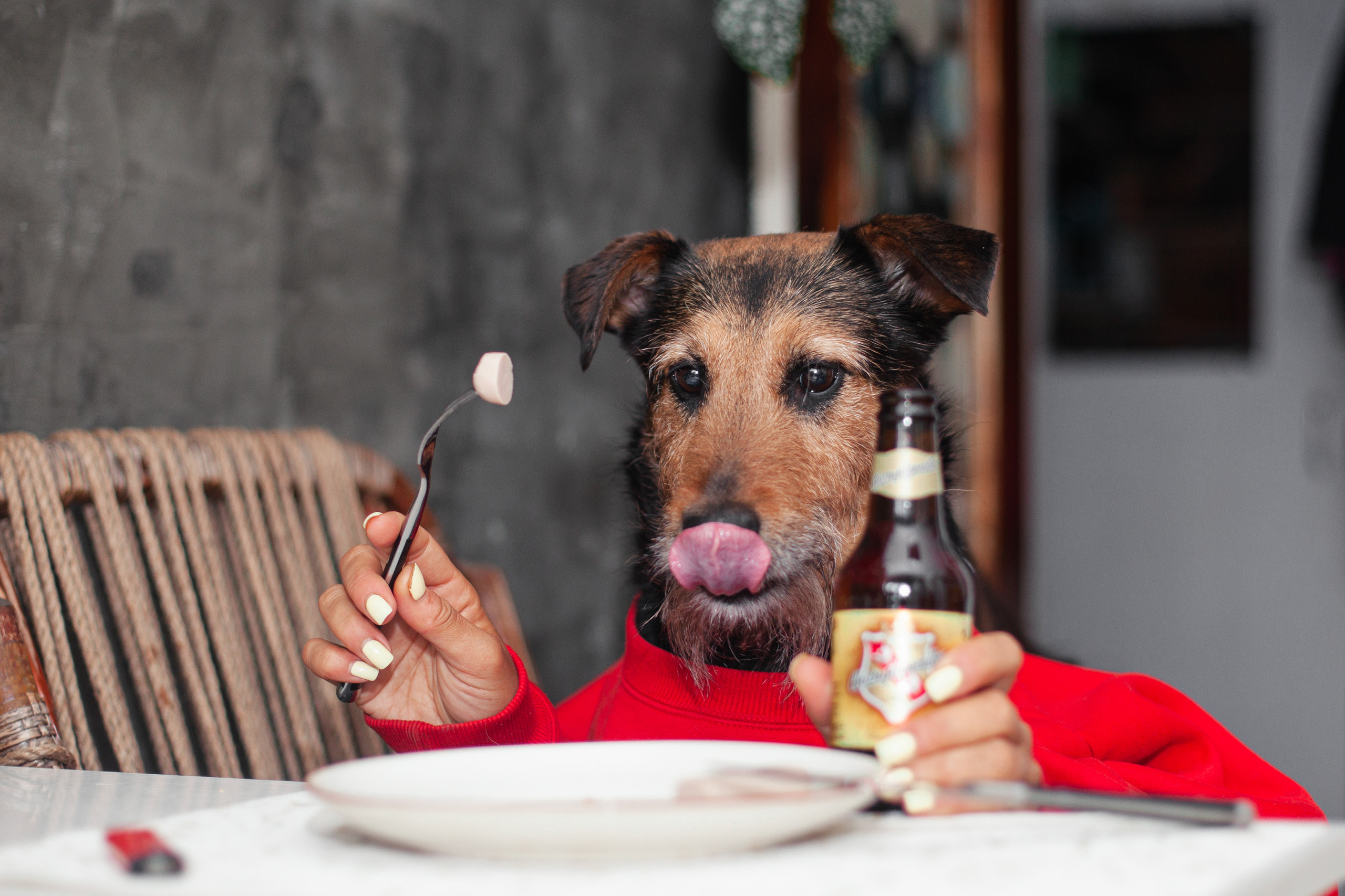 Лиза и Бренда. Фотограф-анималист Татьяна Степанова