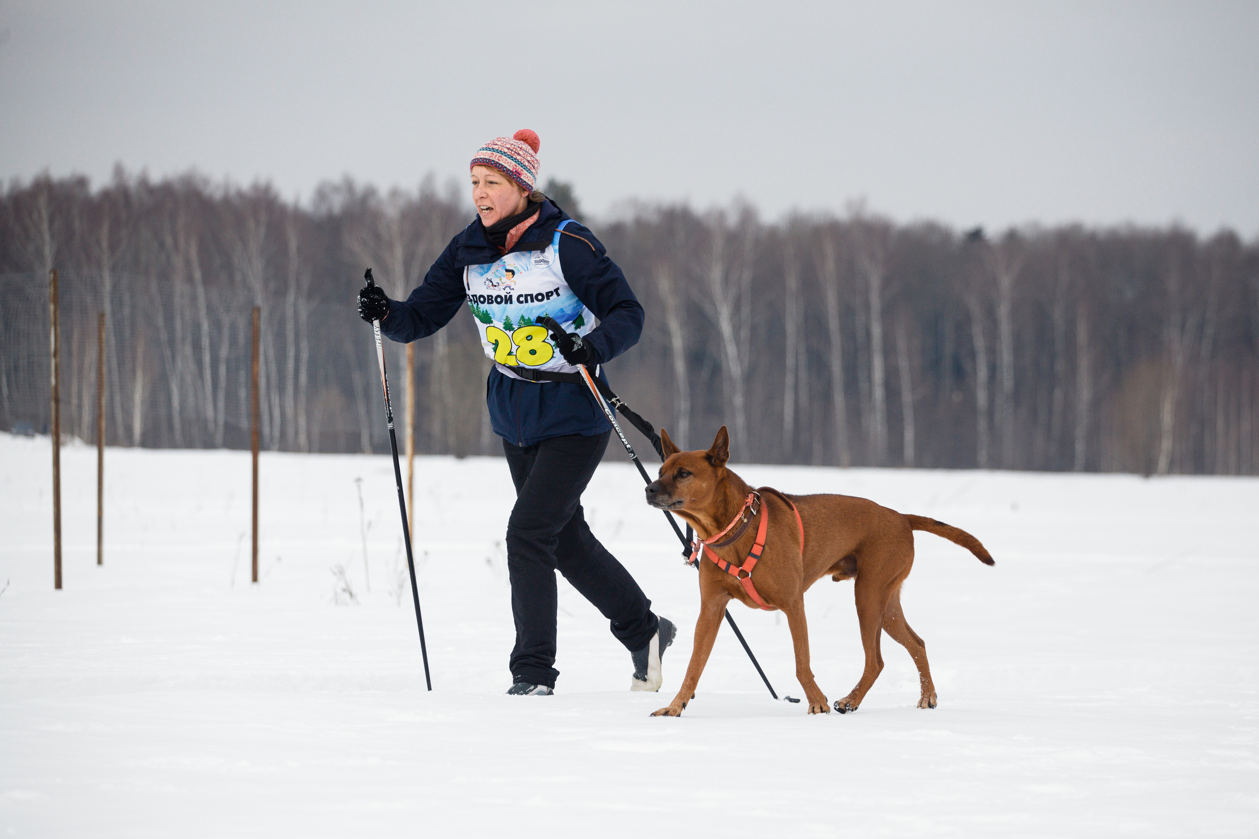 Холодные игры 28 февраля 2022. Фотограф-анималист Татьяна Степанова