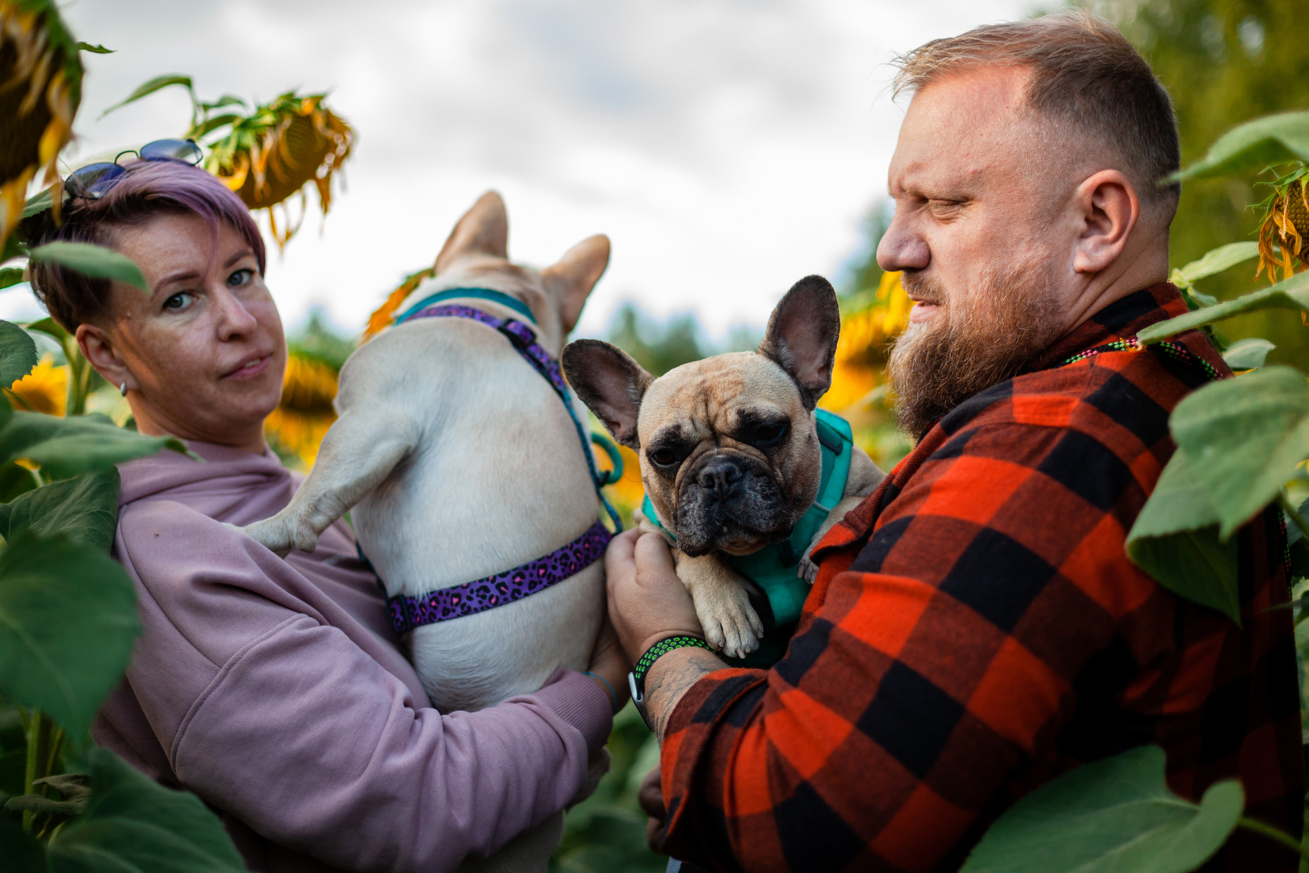 Коломна, стога и подсолнухи. Фотограф-анималист Татьяна Степанова