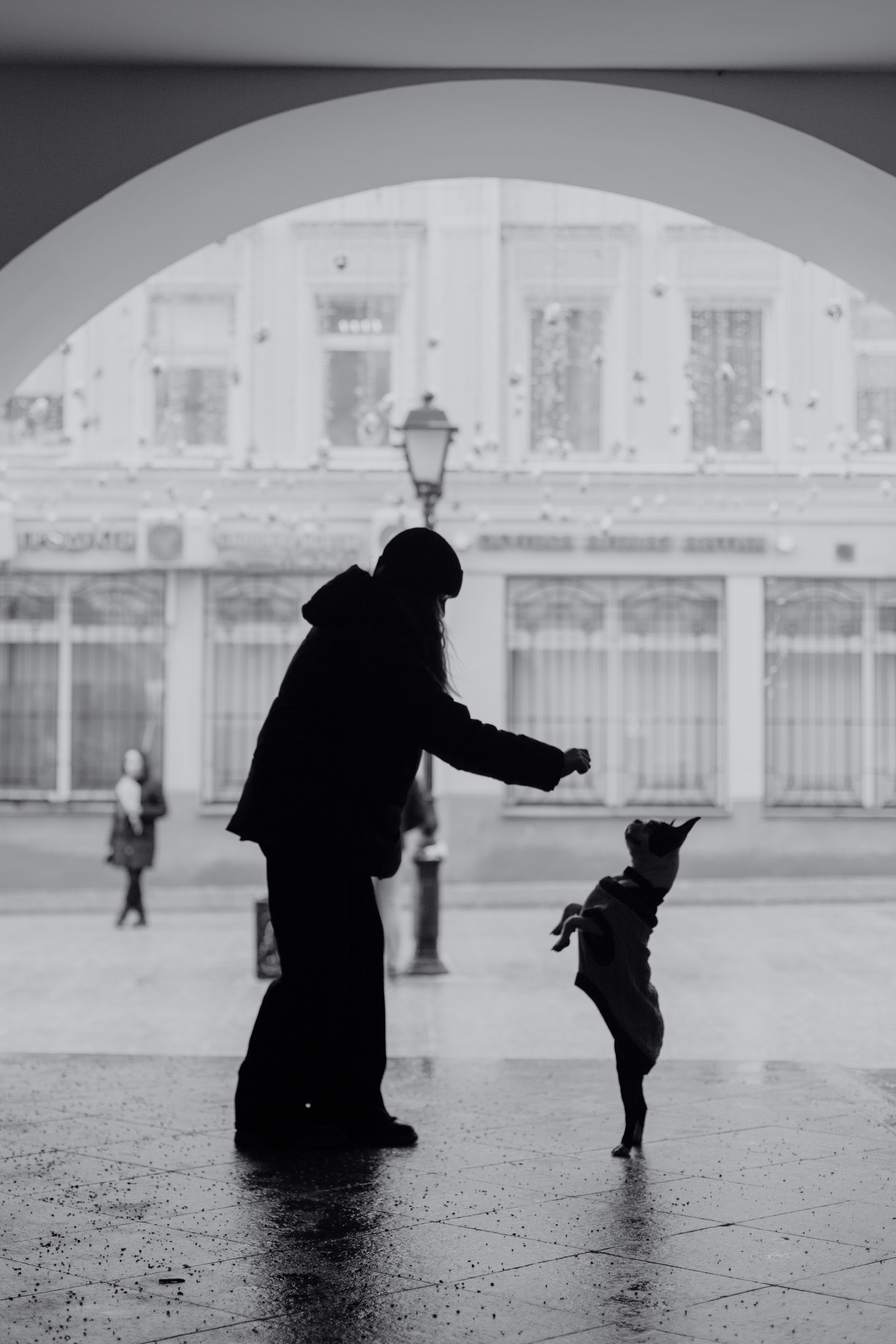 Василиса и Мира Кузнецкий мост. Фотограф-анималист Татьяна Степанова