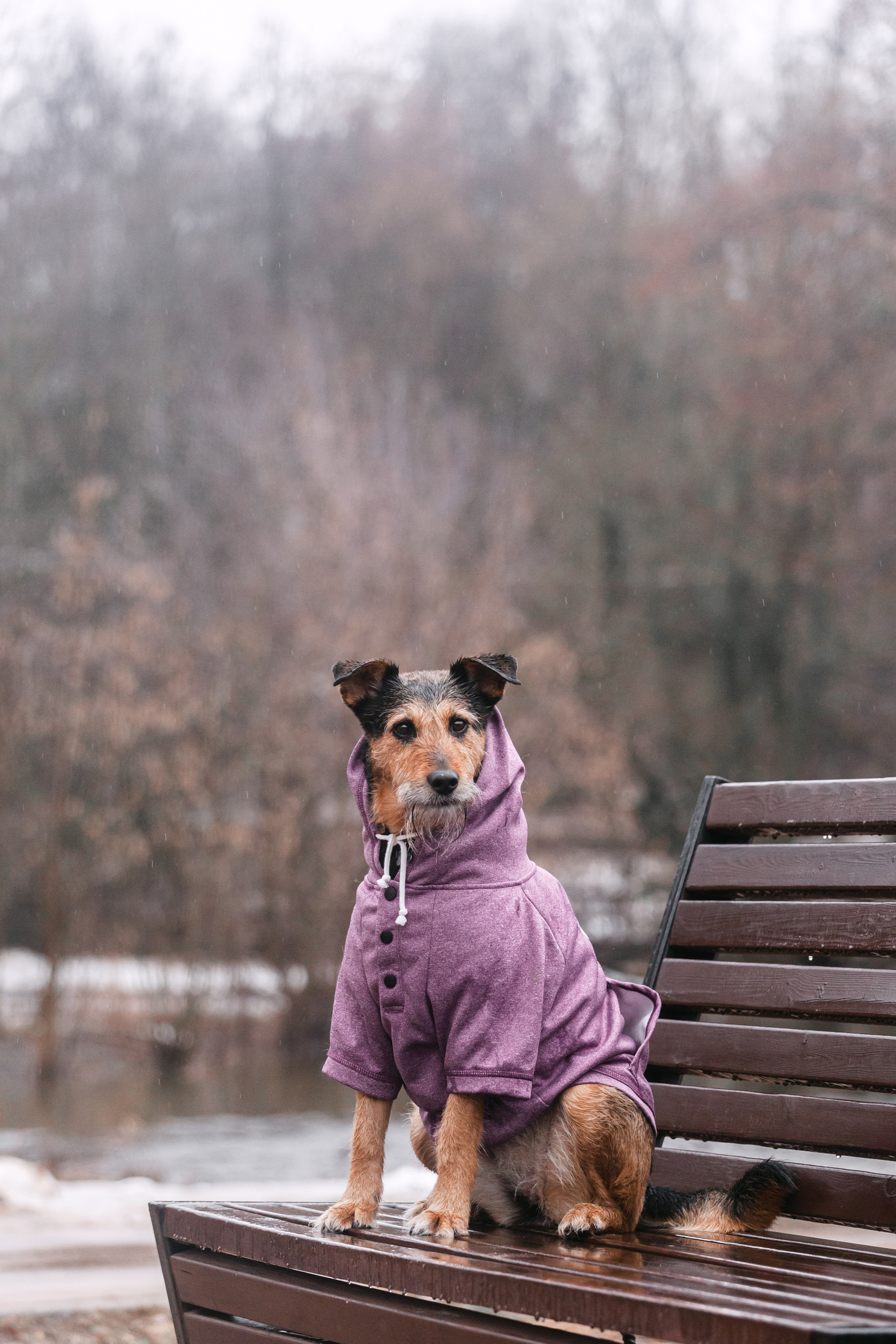 Лиза и Бренда. Фотограф-анималист Татьяна Степанова