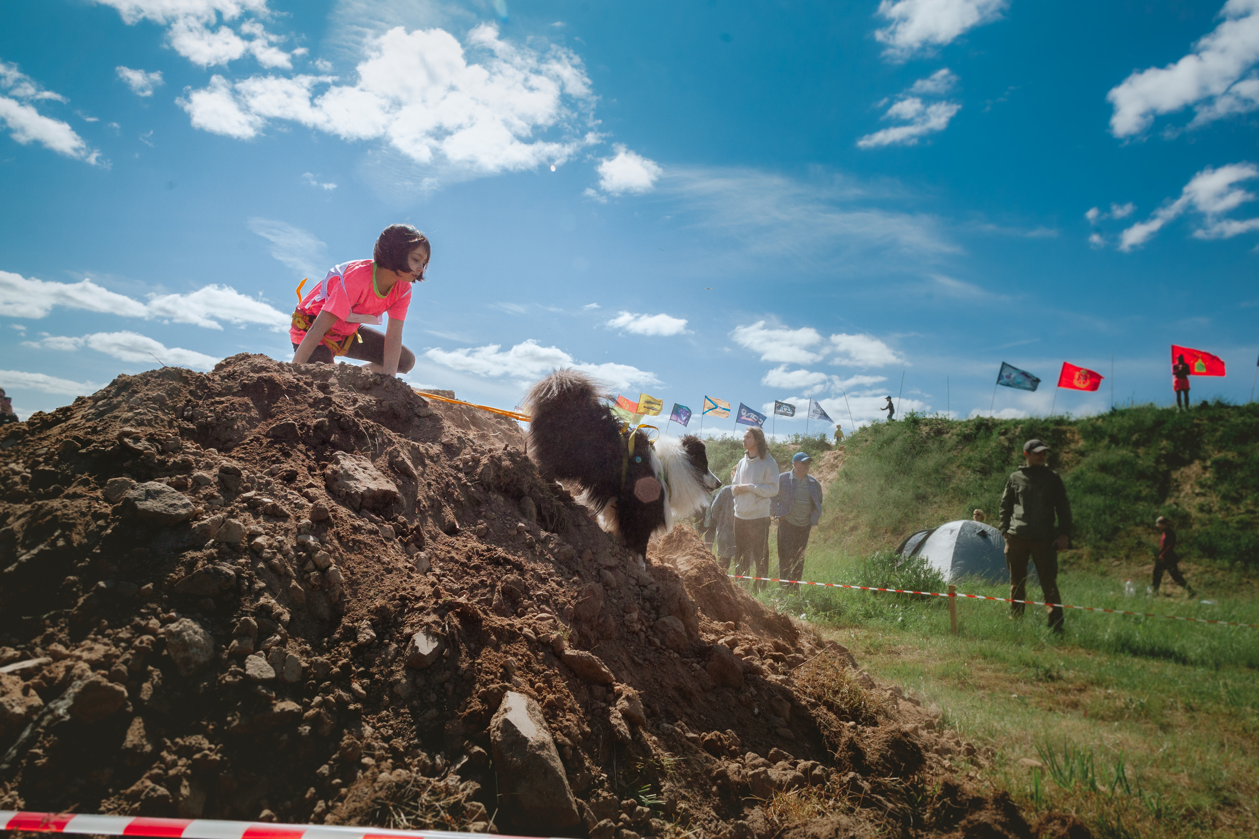 Хвостатый Драйв 11.06.2023. Фотограф-анималист Татьяна Степанова