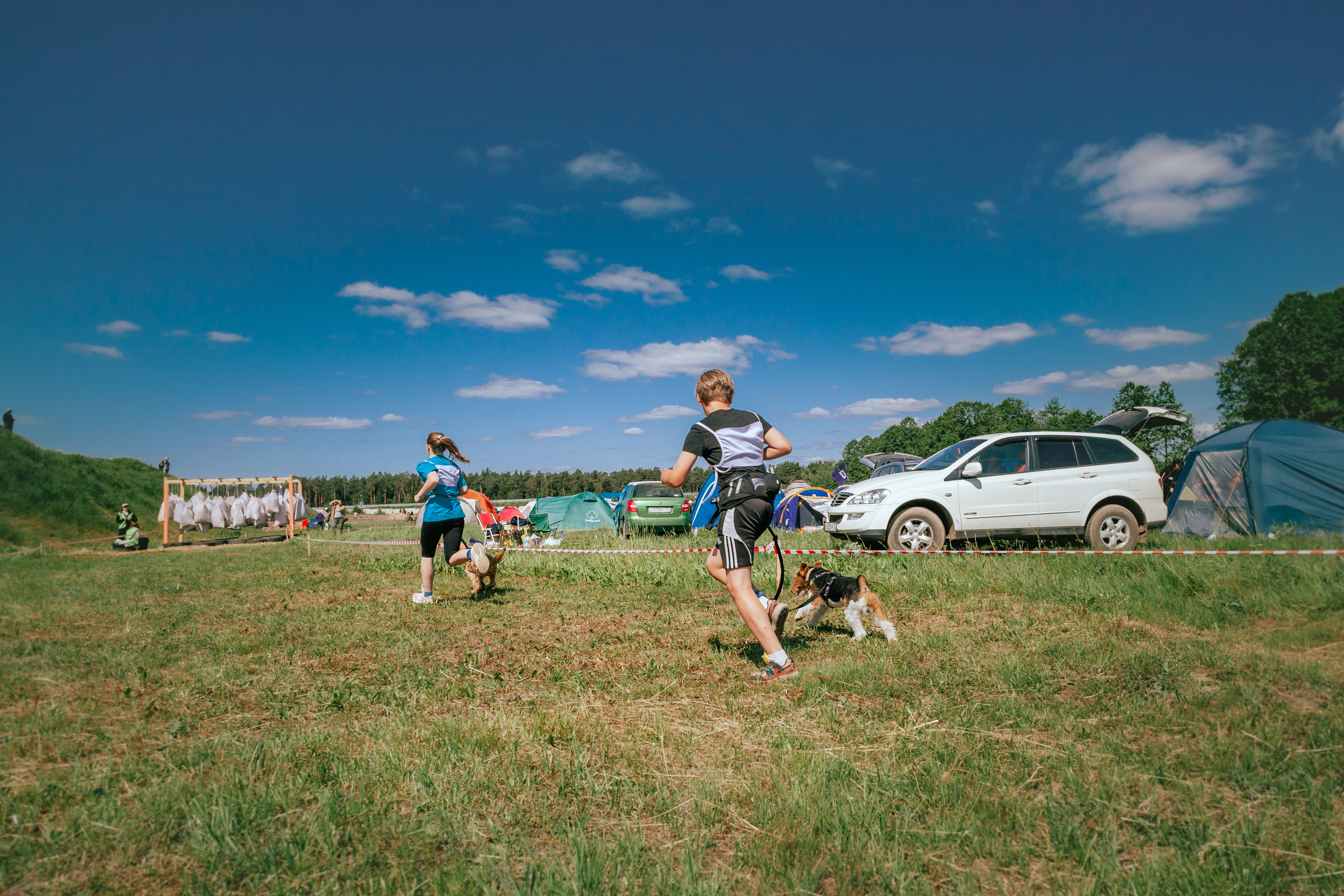 Хвостатый Драйв 11.06.2023. Фотограф-анималист Татьяна Степанова