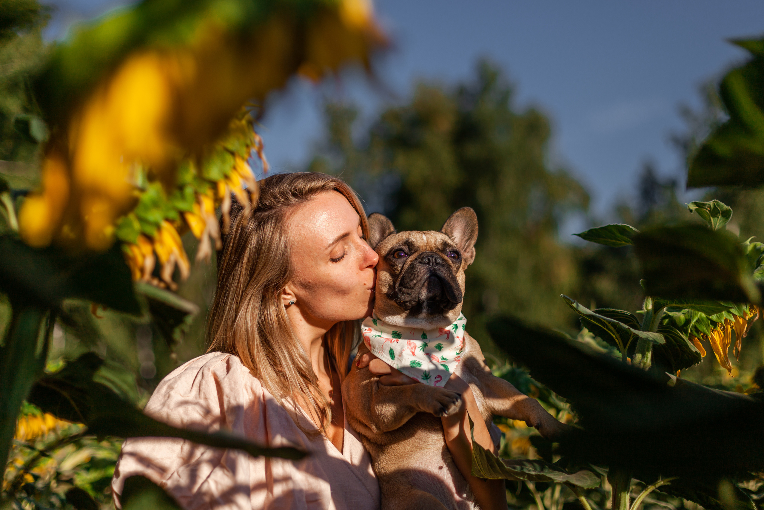 Коломна, стога и подсолнухи. Фотограф-анималист Татьяна Степанова