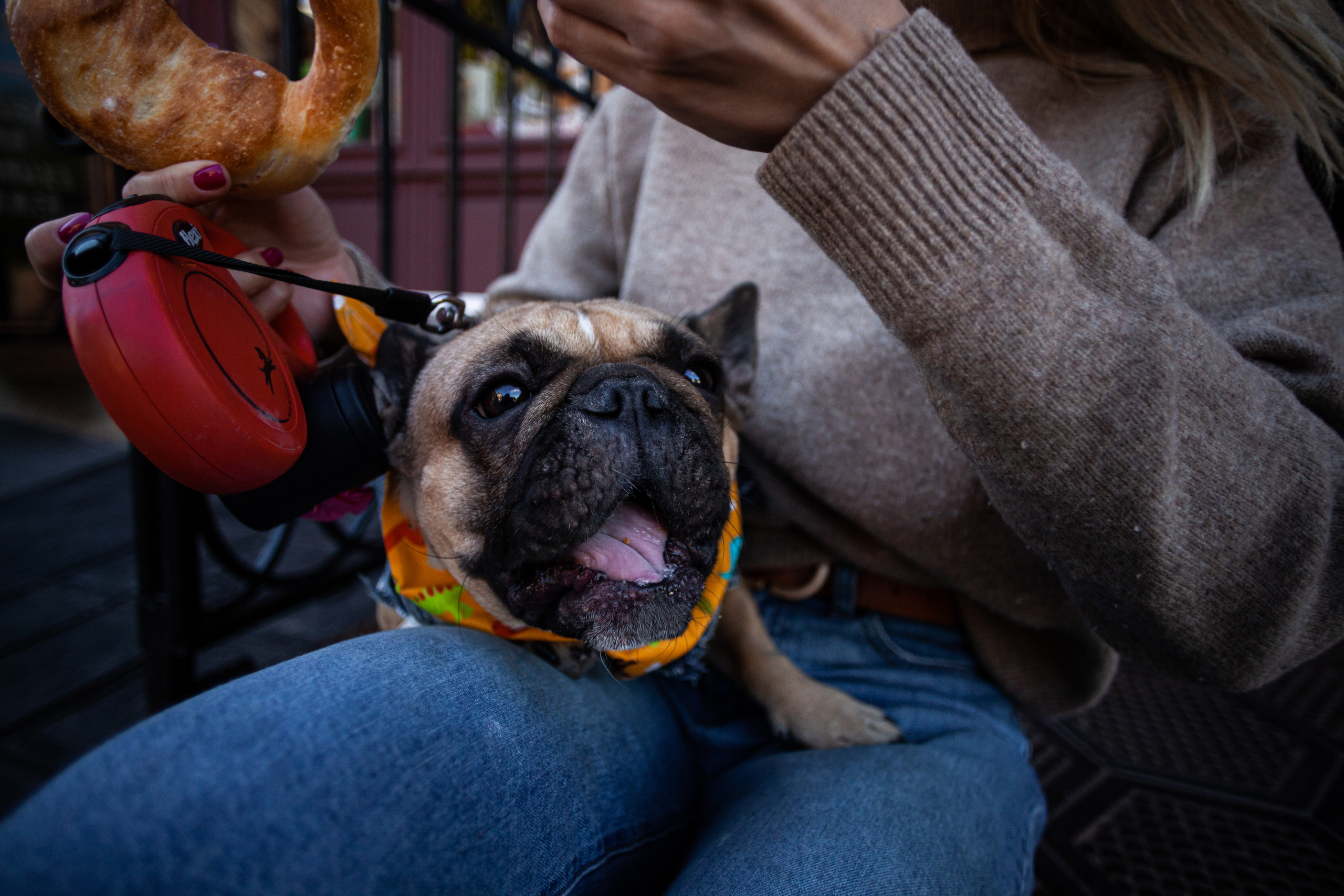 Коломна, стога и подсолнухи. Фотограф-анималист Татьяна Степанова