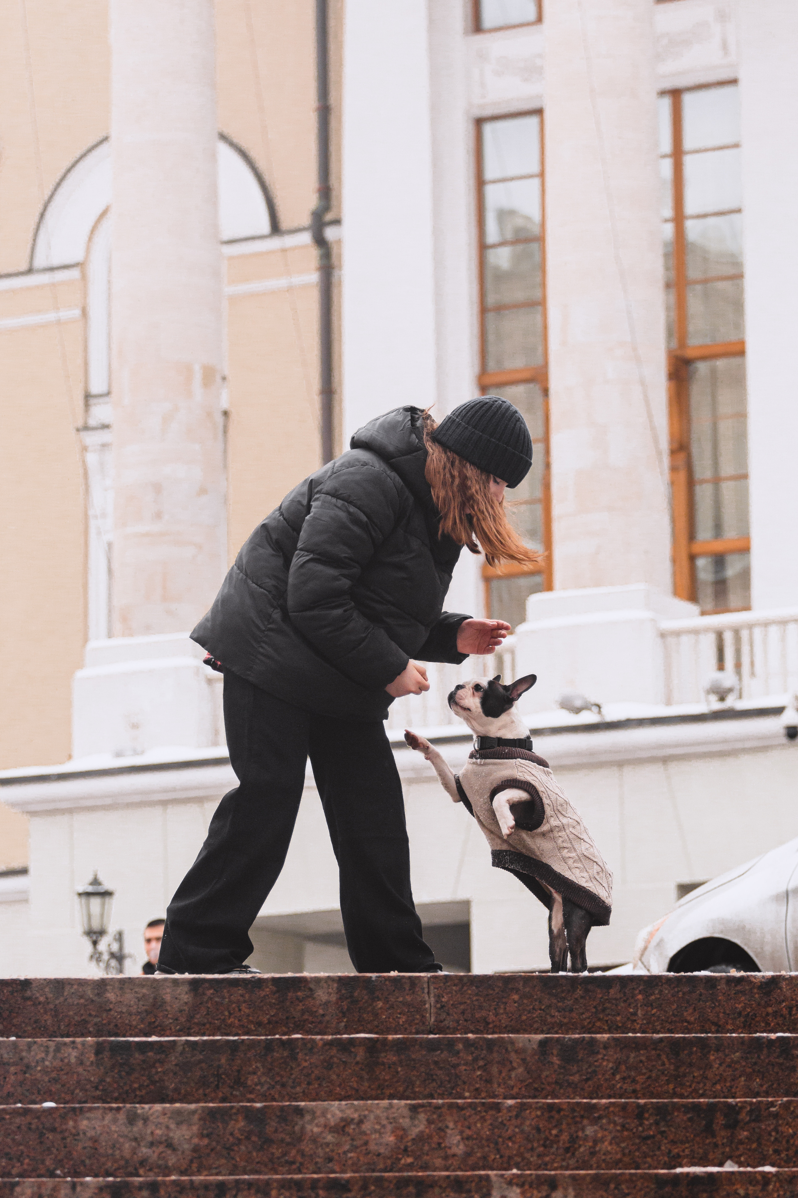 Василиса и Мира Кузнецкий мост. Фотограф-анималист Татьяна Степанова
