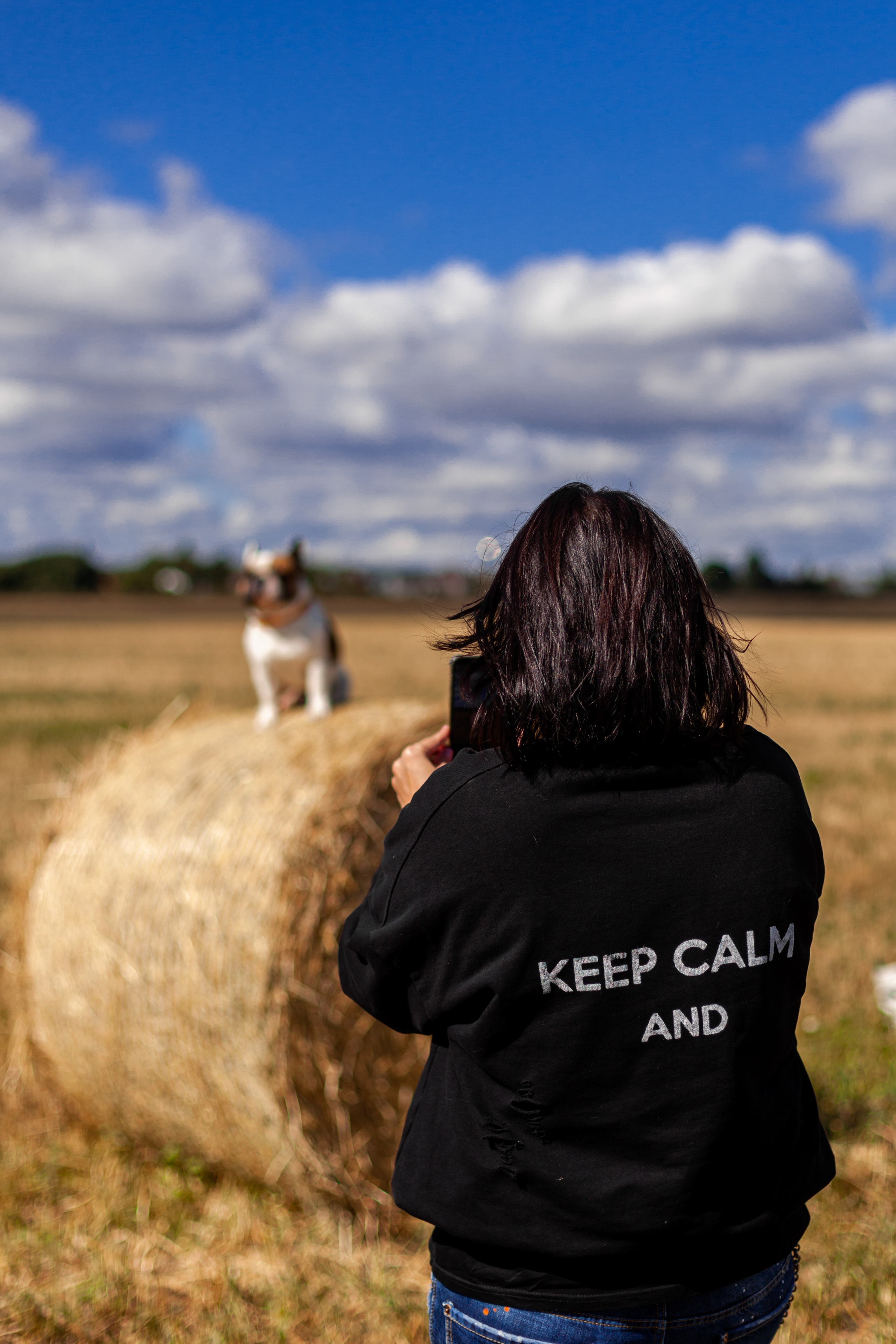 Коломна, стога и подсолнухи. Фотограф-анималист Татьяна Степанова