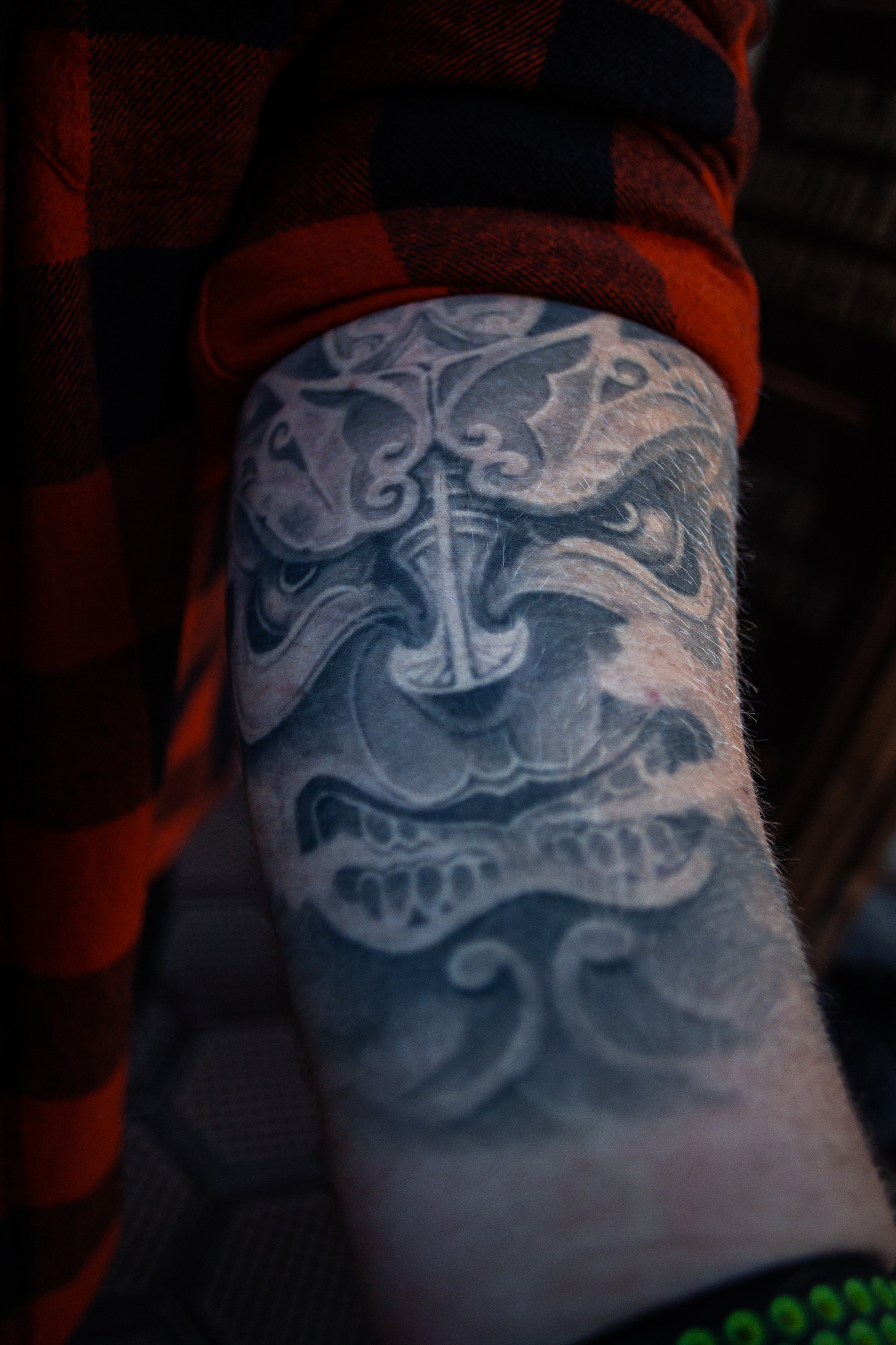 Коломна, стога и подсолнухи. Фотограф-анималист Татьяна Степанова