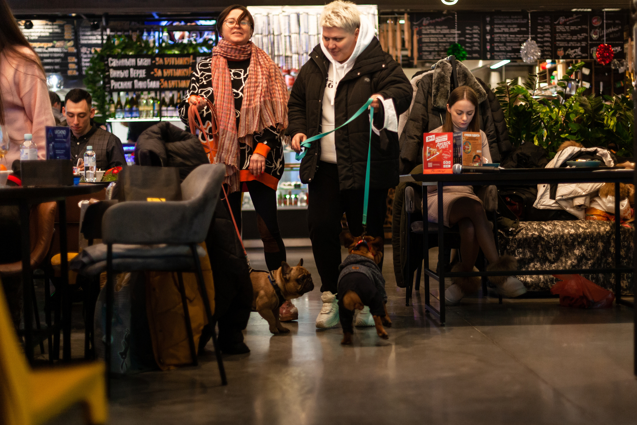 Бульелка 2022. Фотограф-анималист Татьяна Степанова