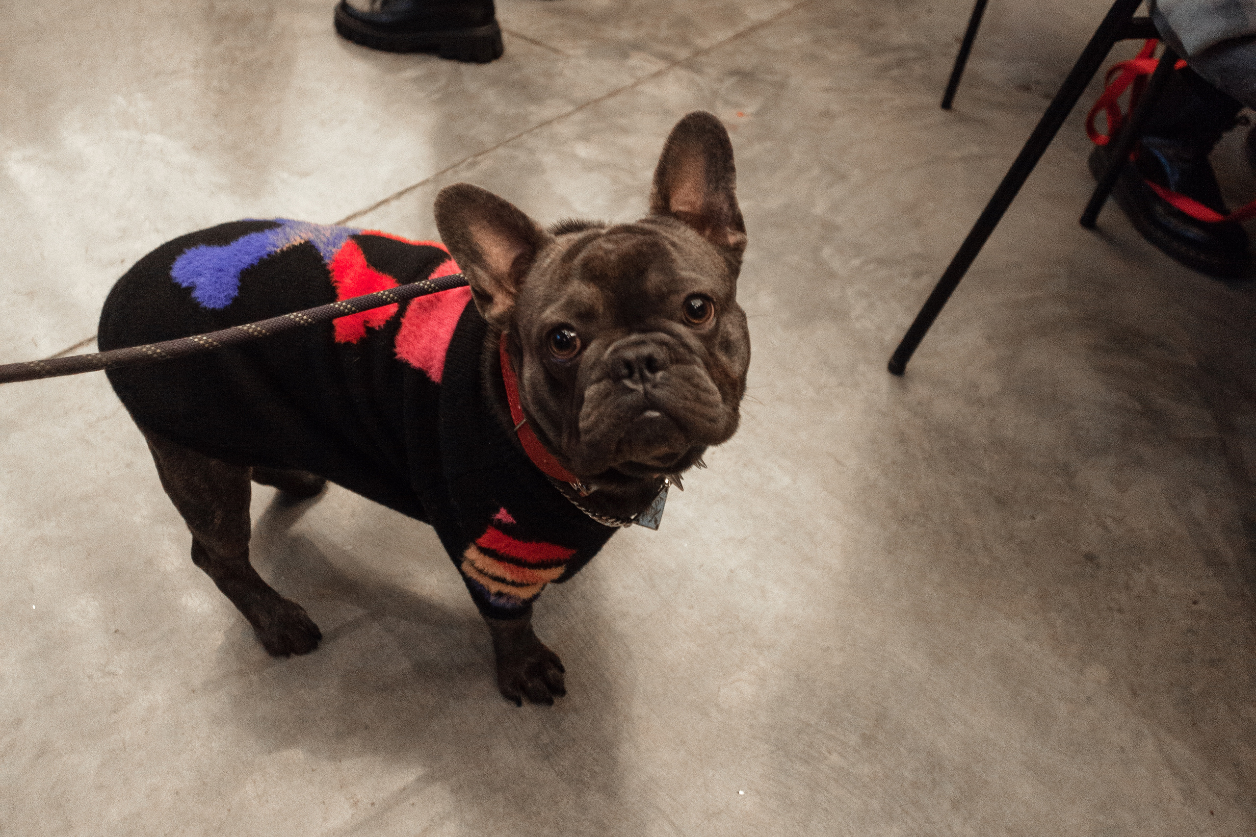 Бульелка 2022. Фотограф-анималист Татьяна Степанова