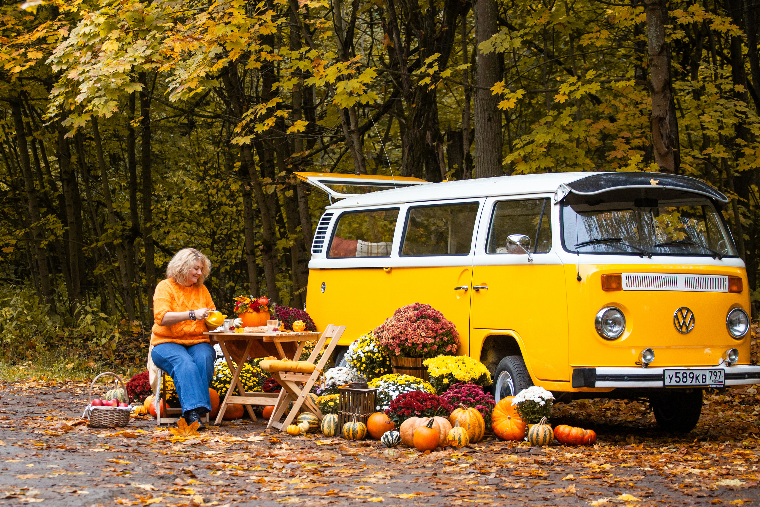 Съемка с ретро автобусом. Фотограф-анималист Татьяна Степанова