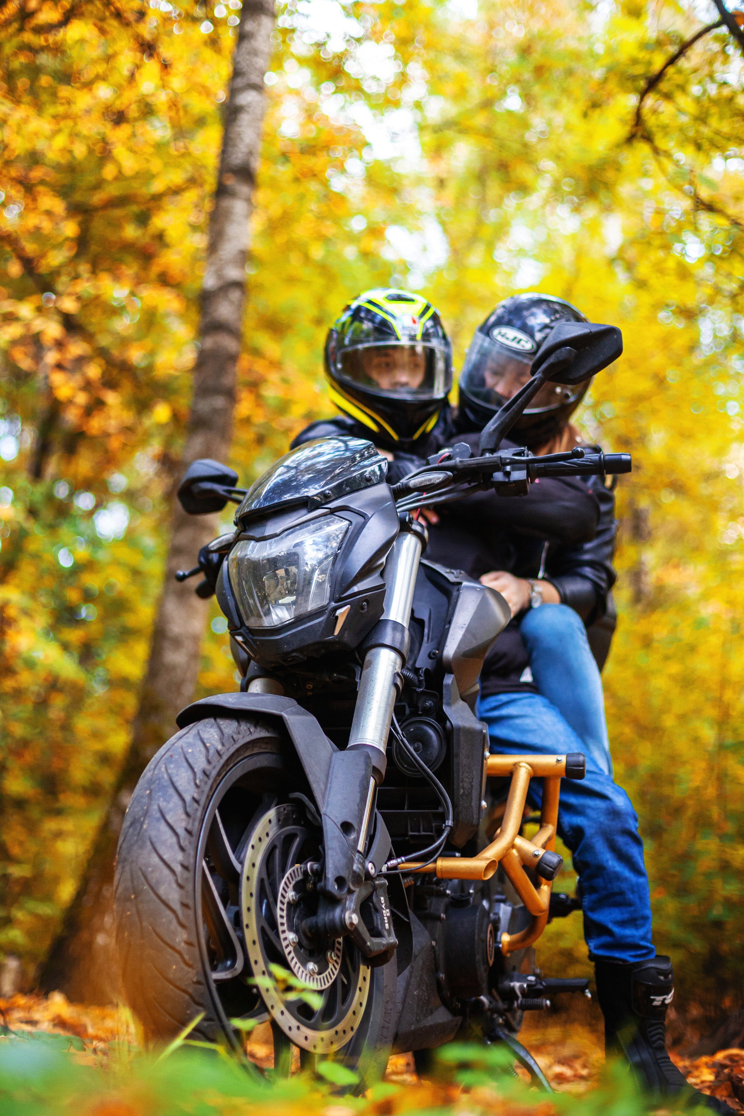 Кристина и Олег в Алешкинском лесопарке. Фотограф-анималист Татьяна Степанова