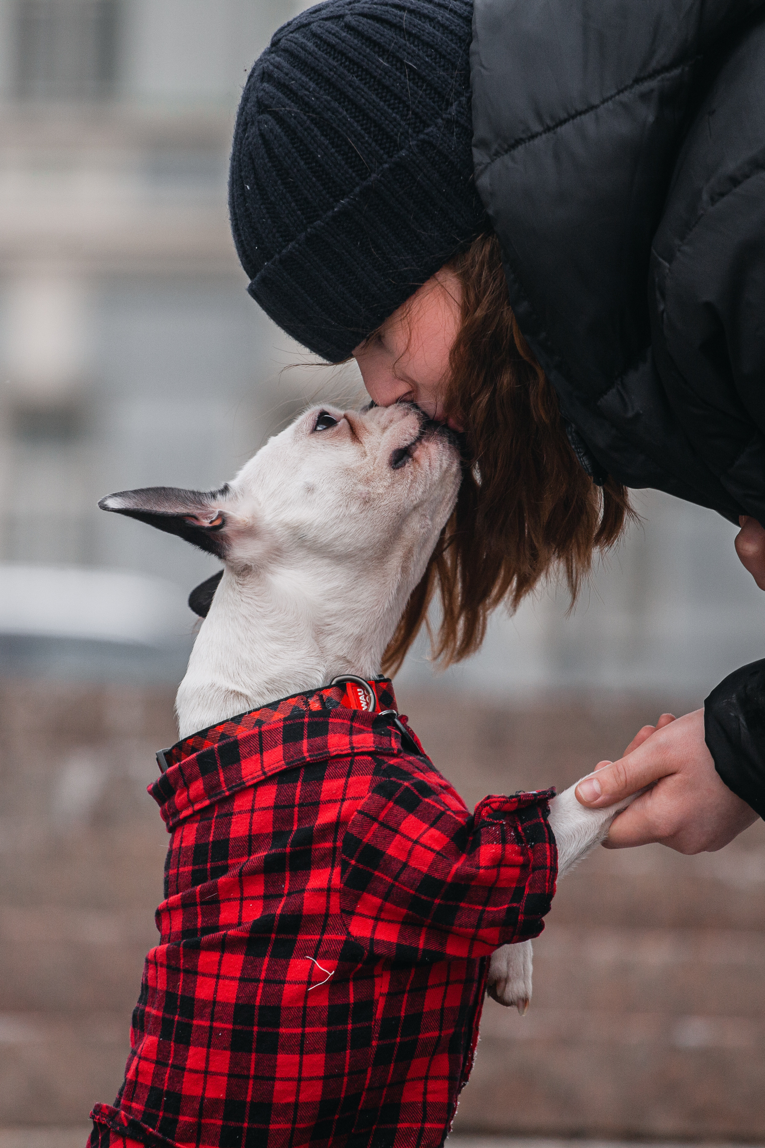 Василиса и Мира Кузнецкий мост. Фотограф-анималист Татьяна Степанова