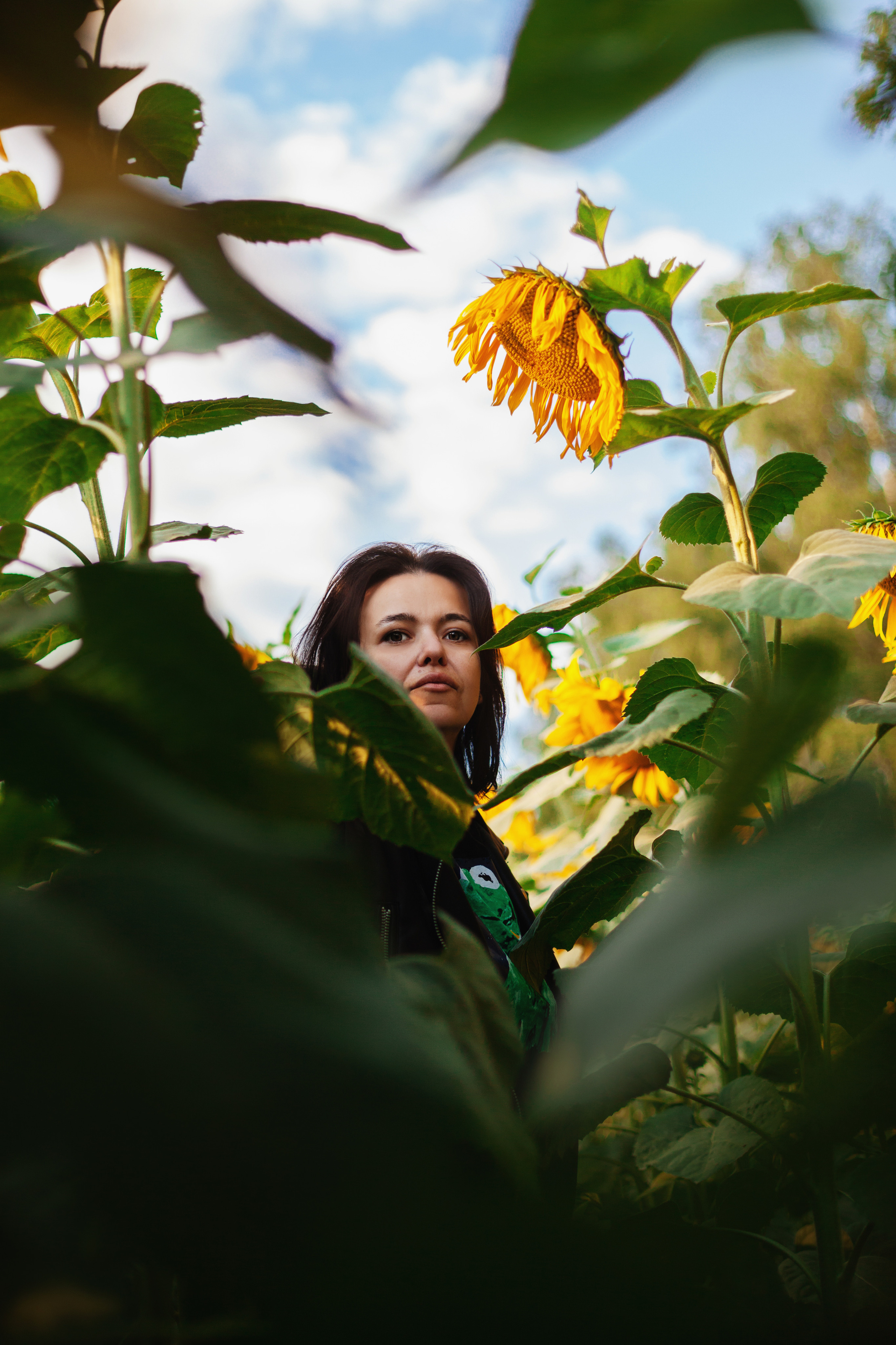 Коломна, стога и подсолнухи. Фотограф-анималист Татьяна Степанова