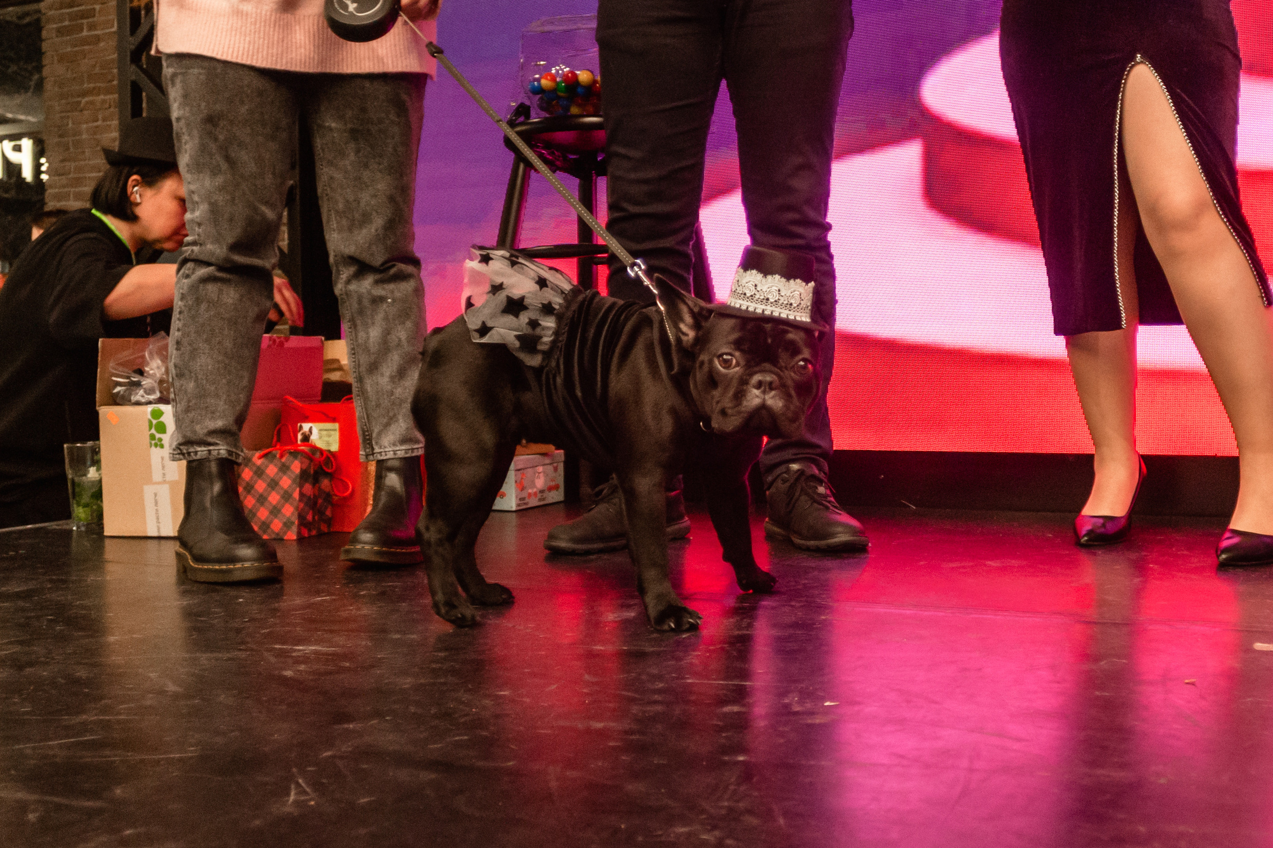 Бульелка 2022. Фотограф-анималист Татьяна Степанова