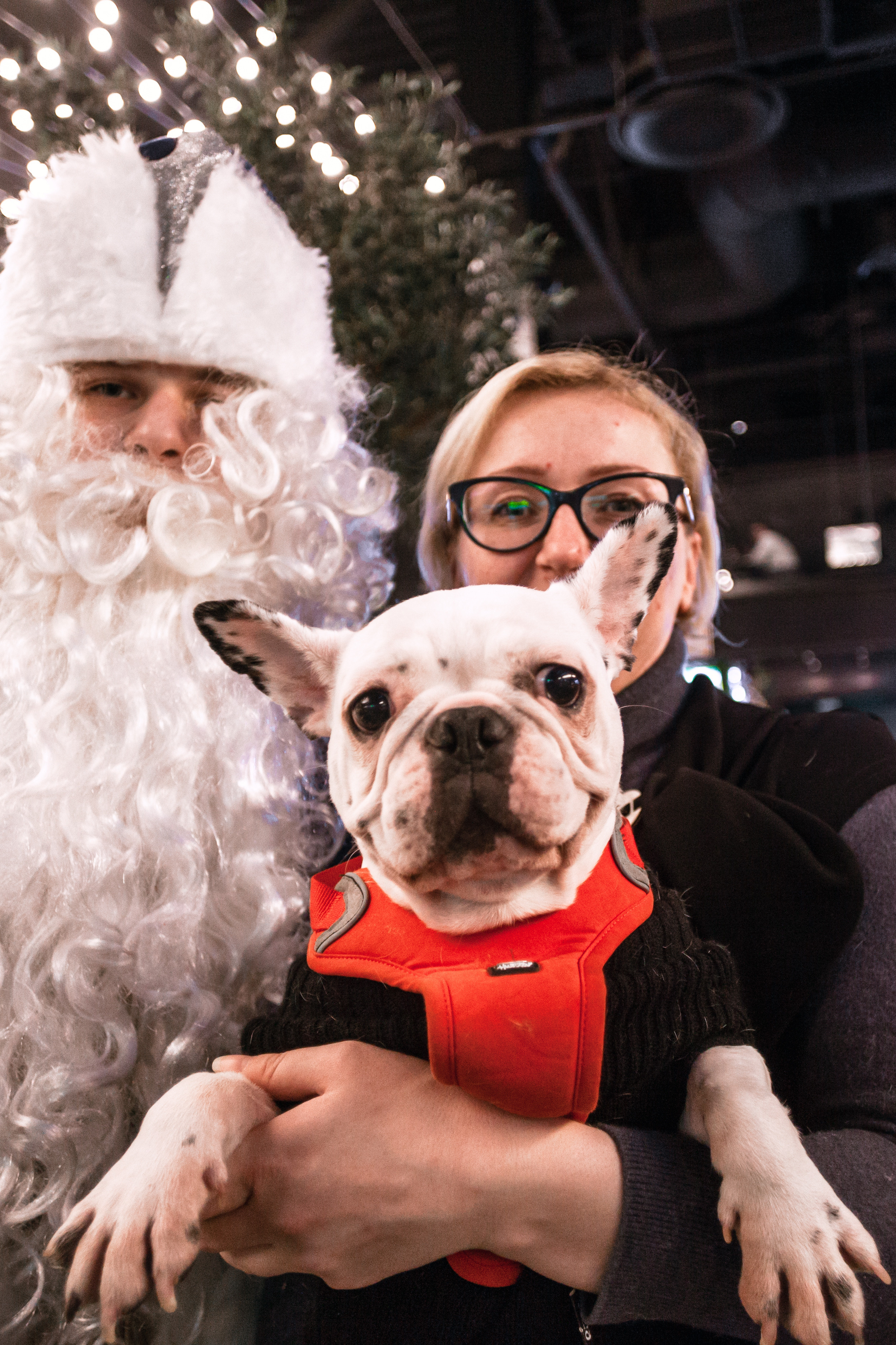 Бульелка 2022. Фотограф-анималист Татьяна Степанова