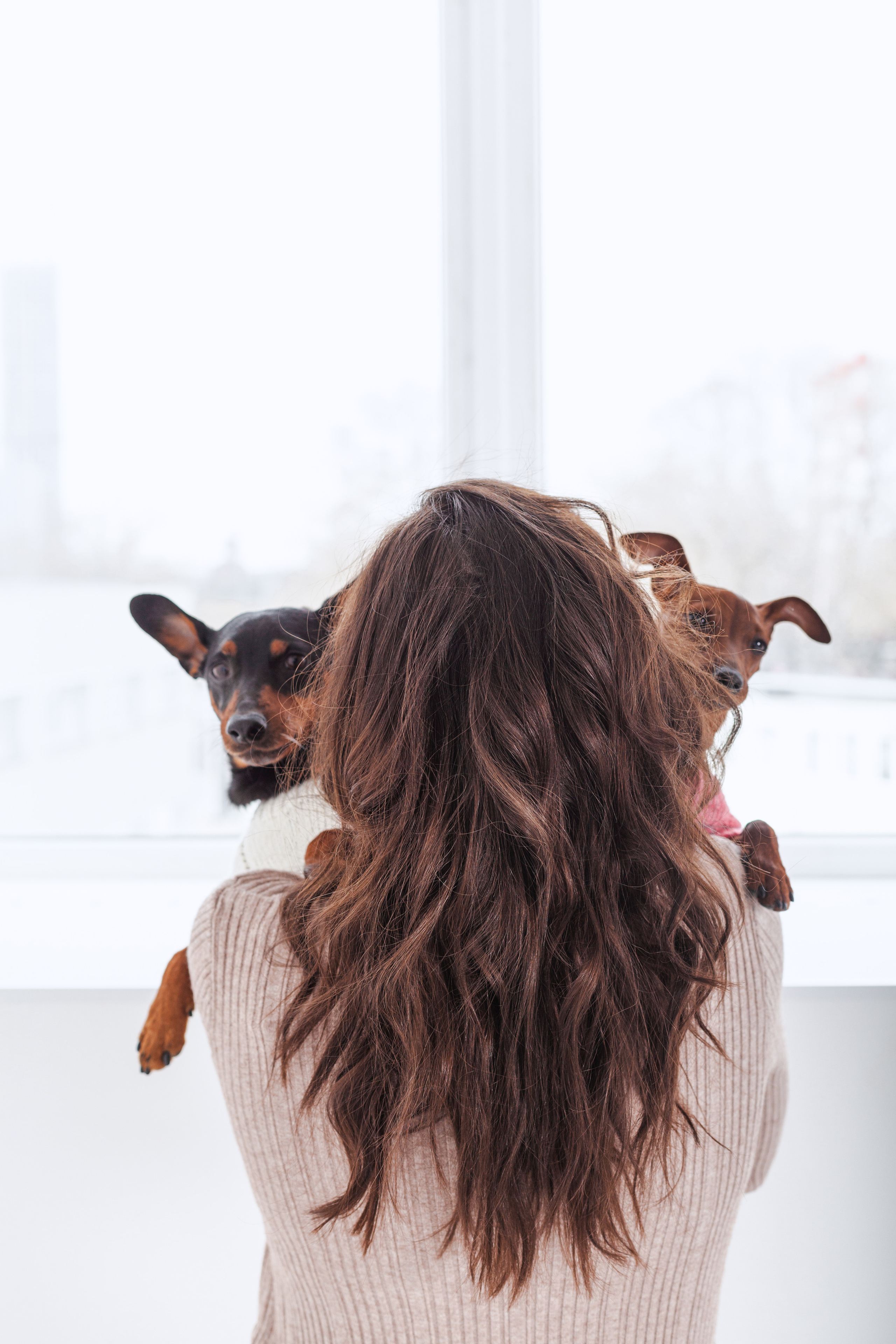 Александра и пинчеры Майя и Джой. Фотограф-анималист Татьяна Степанова