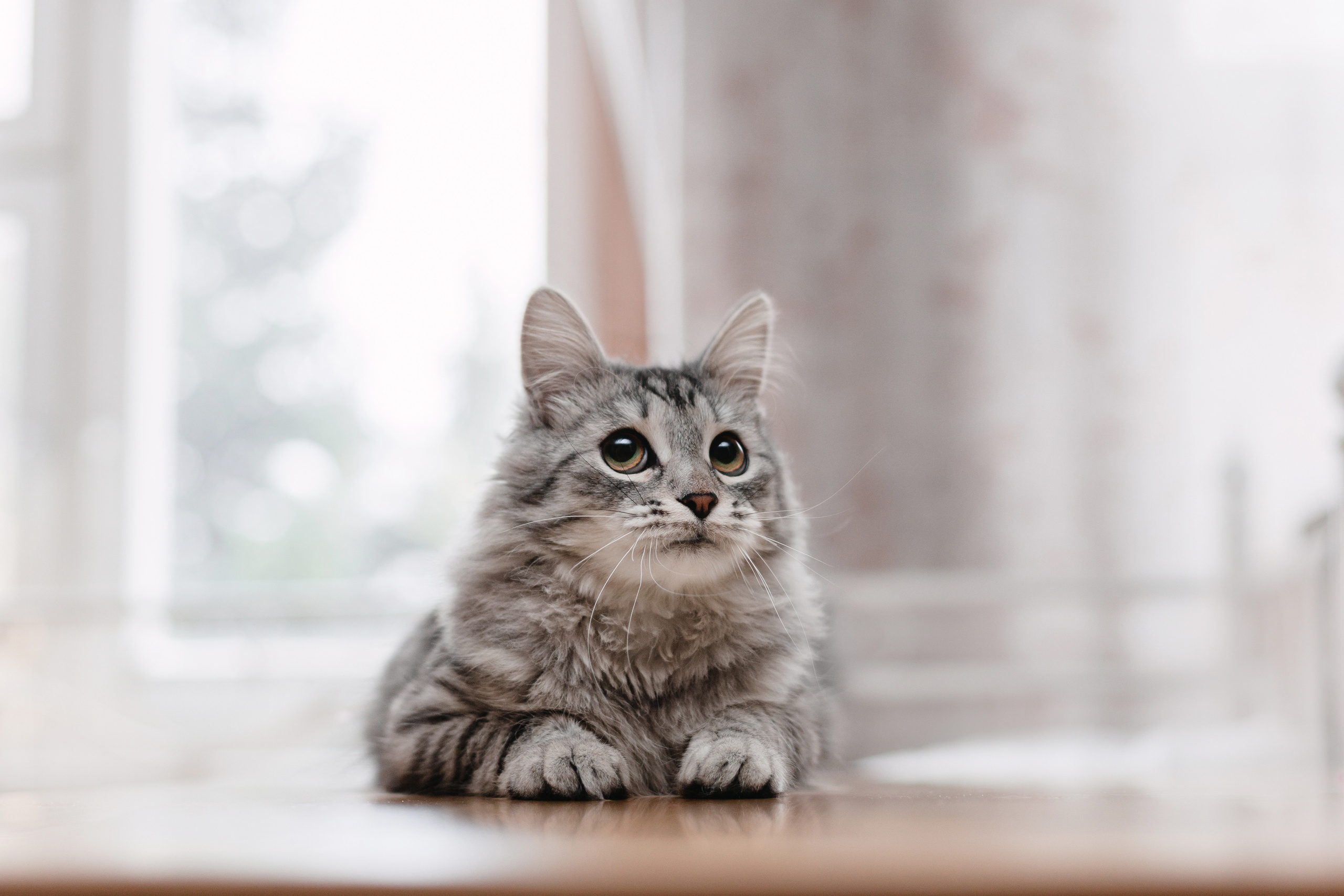 Космос 2023. Фотограф-анималист Татьяна Степанова