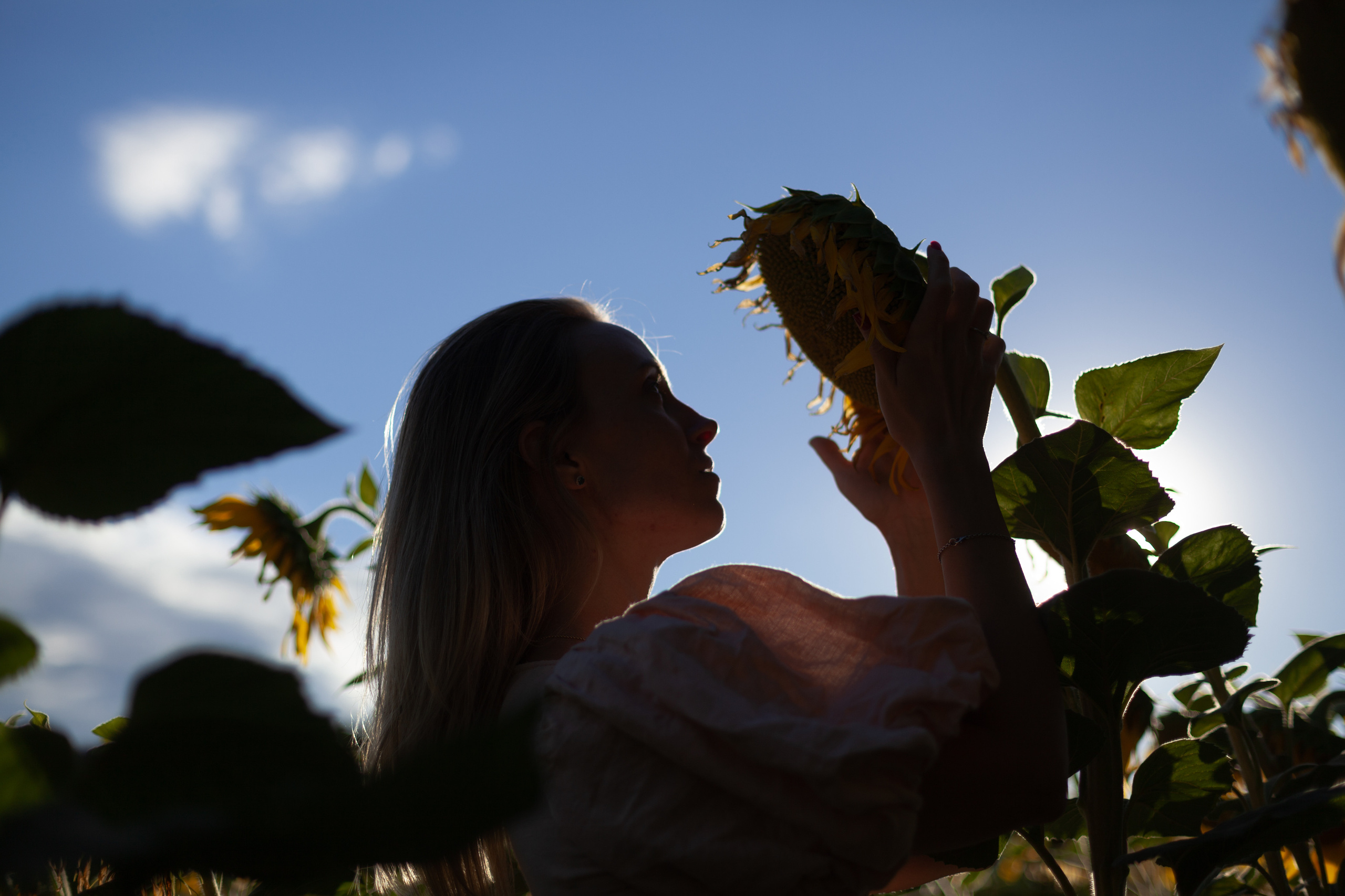 Коломна, стога и подсолнухи. Фотограф-анималист Татьяна Степанова