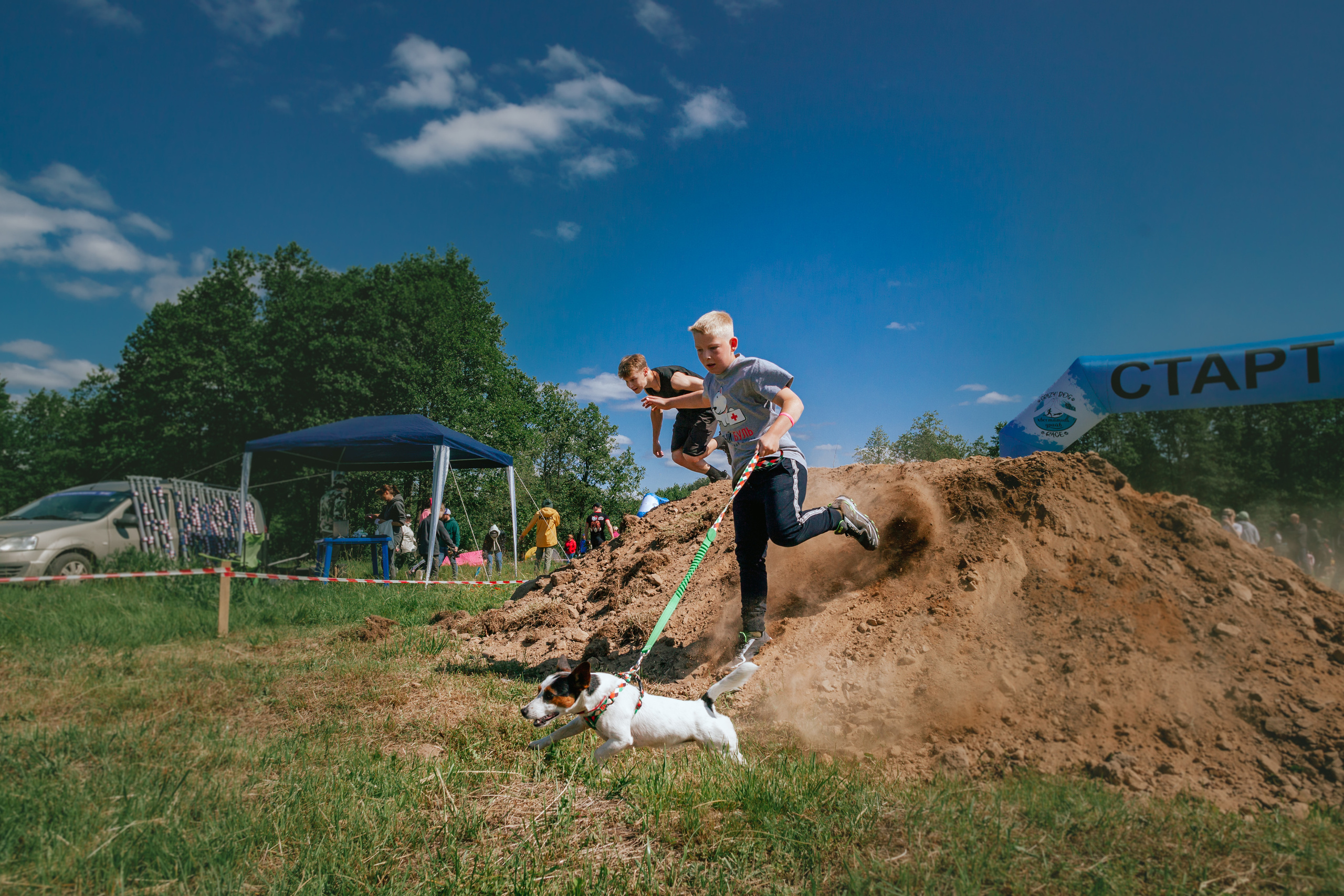 Хвостатый Драйв 11.06.2023. Фотограф-анималист Татьяна Степанова