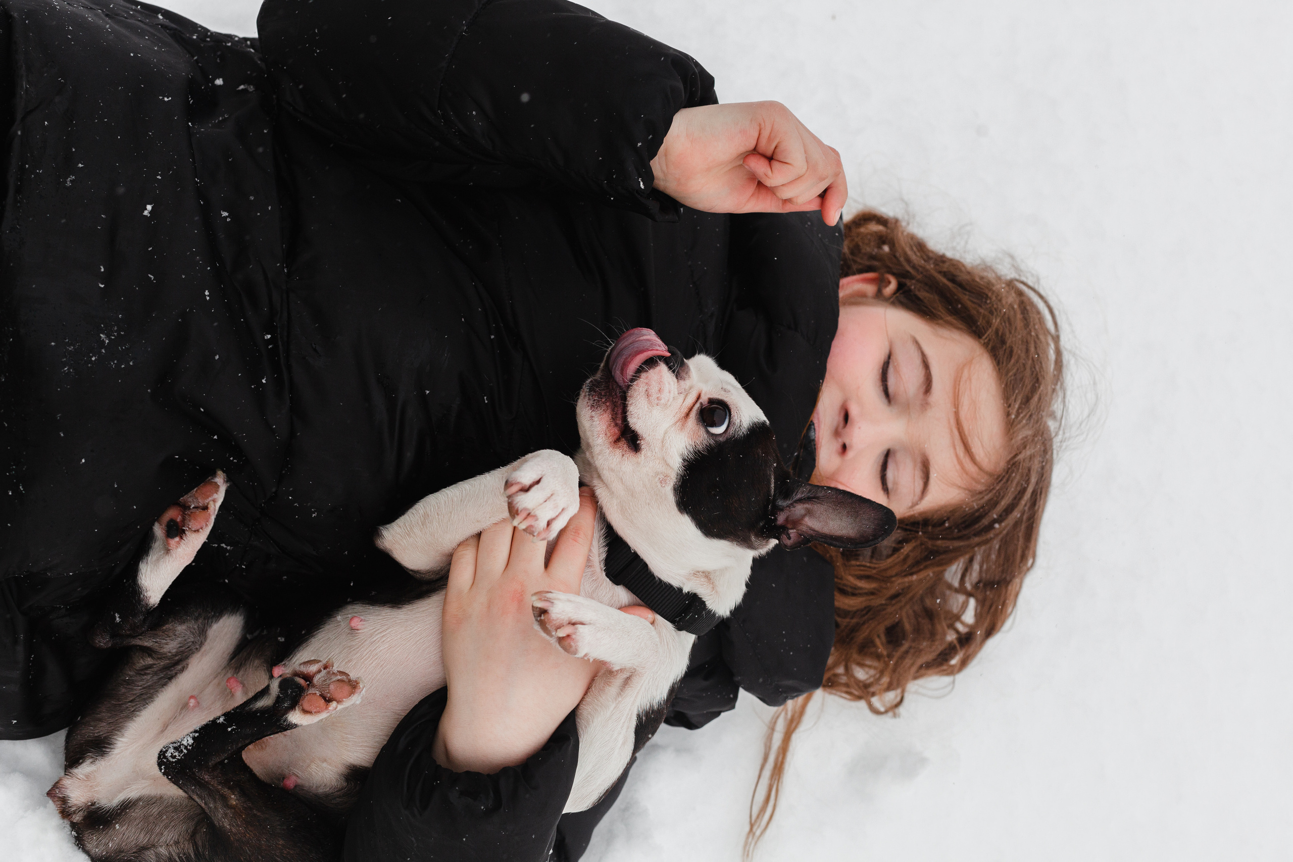 Василиса и Мира Кузнецкий мост. Фотограф-анималист Татьяна Степанова