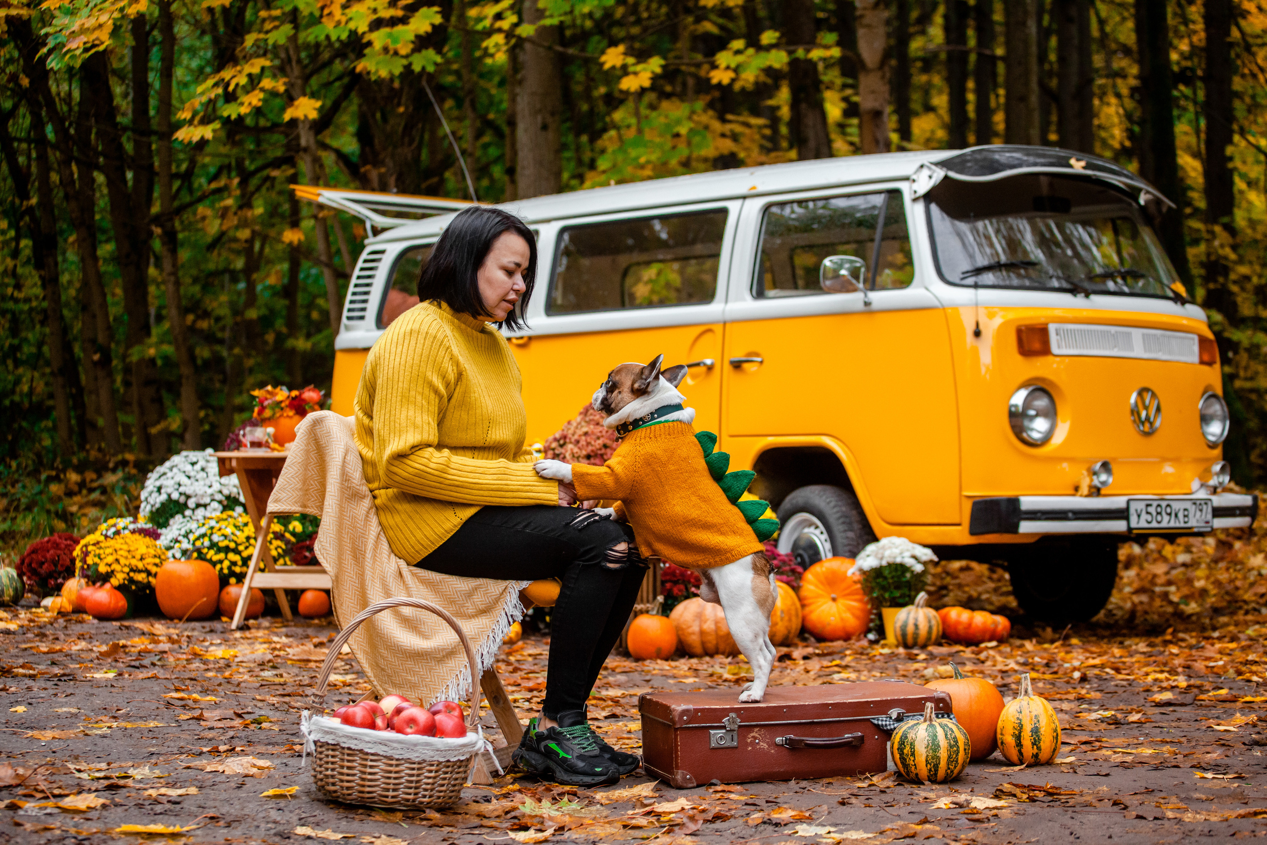Съемка с ретро автобусом. Фотограф-анималист Татьяна Степанова