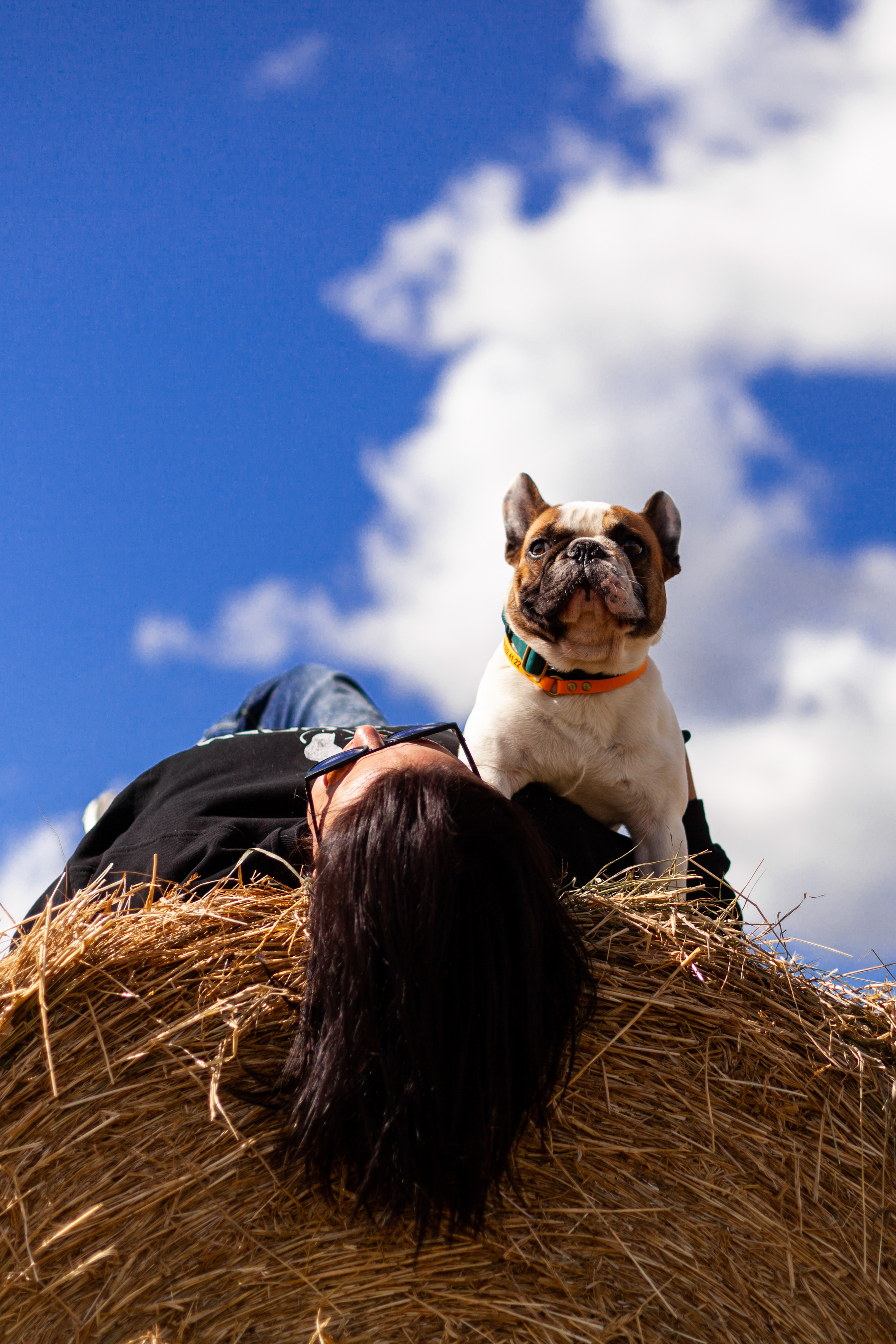 Коломна, стога и подсолнухи. Фотограф-анималист Татьяна Степанова