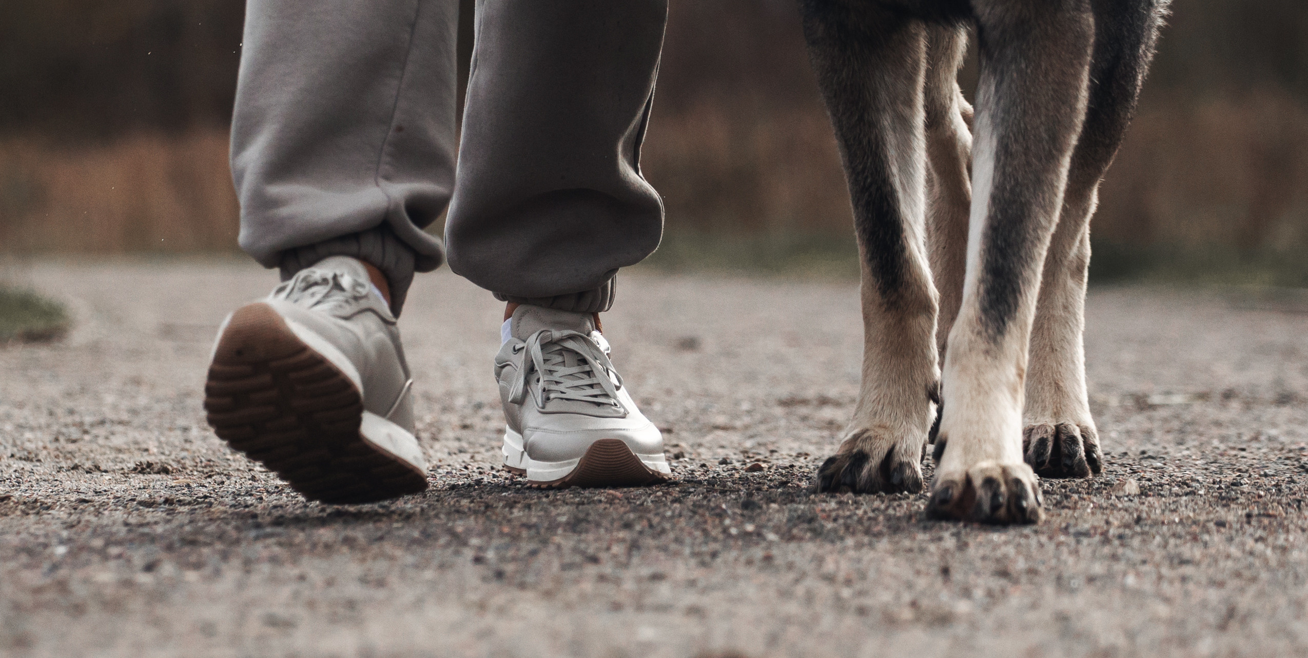Женя, Скай и Арти в ПКИО Северное Тушино. Фотограф-анималист Татьяна Степанова