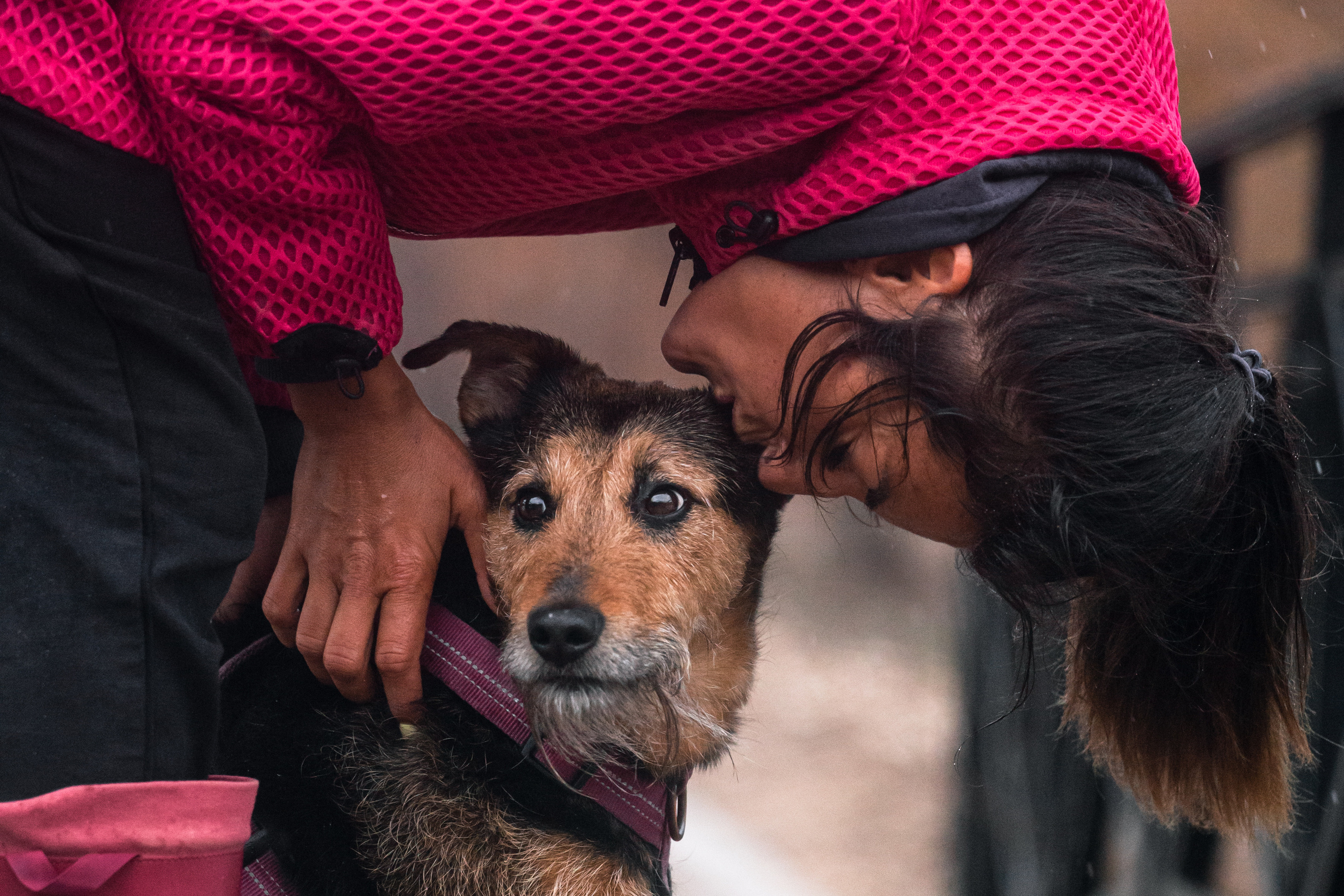 Лиза и Бренда. Фотограф-анималист Татьяна Степанова