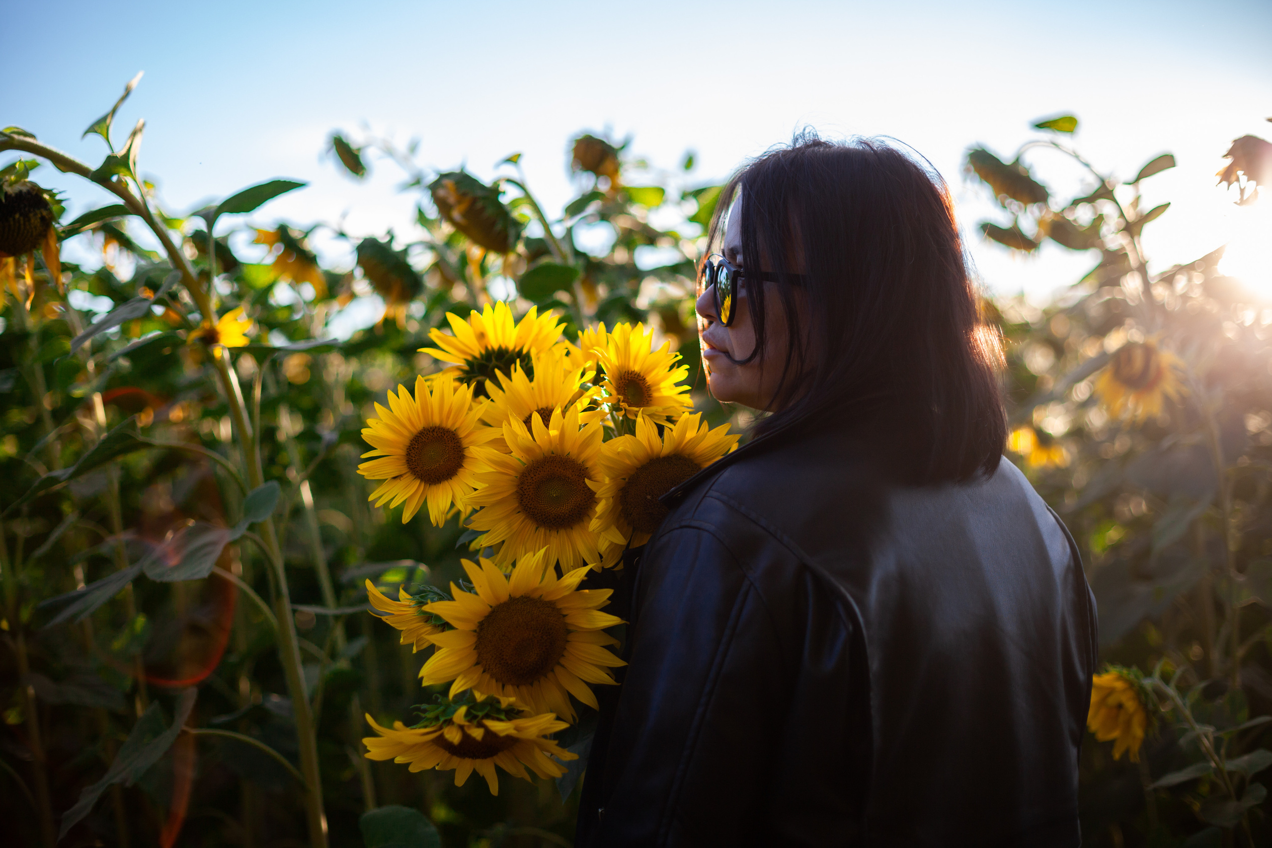 Коломна, стога и подсолнухи. Фотограф-анималист Татьяна Степанова