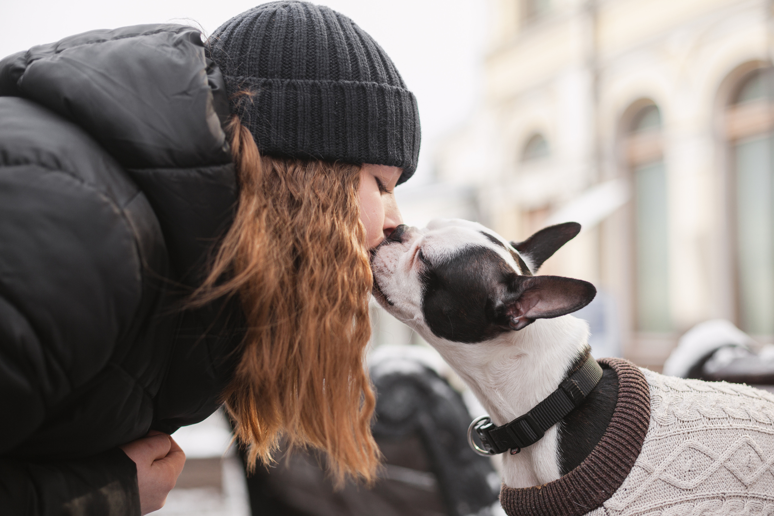 Василиса и Мира Кузнецкий мост. Фотограф-анималист Татьяна Степанова