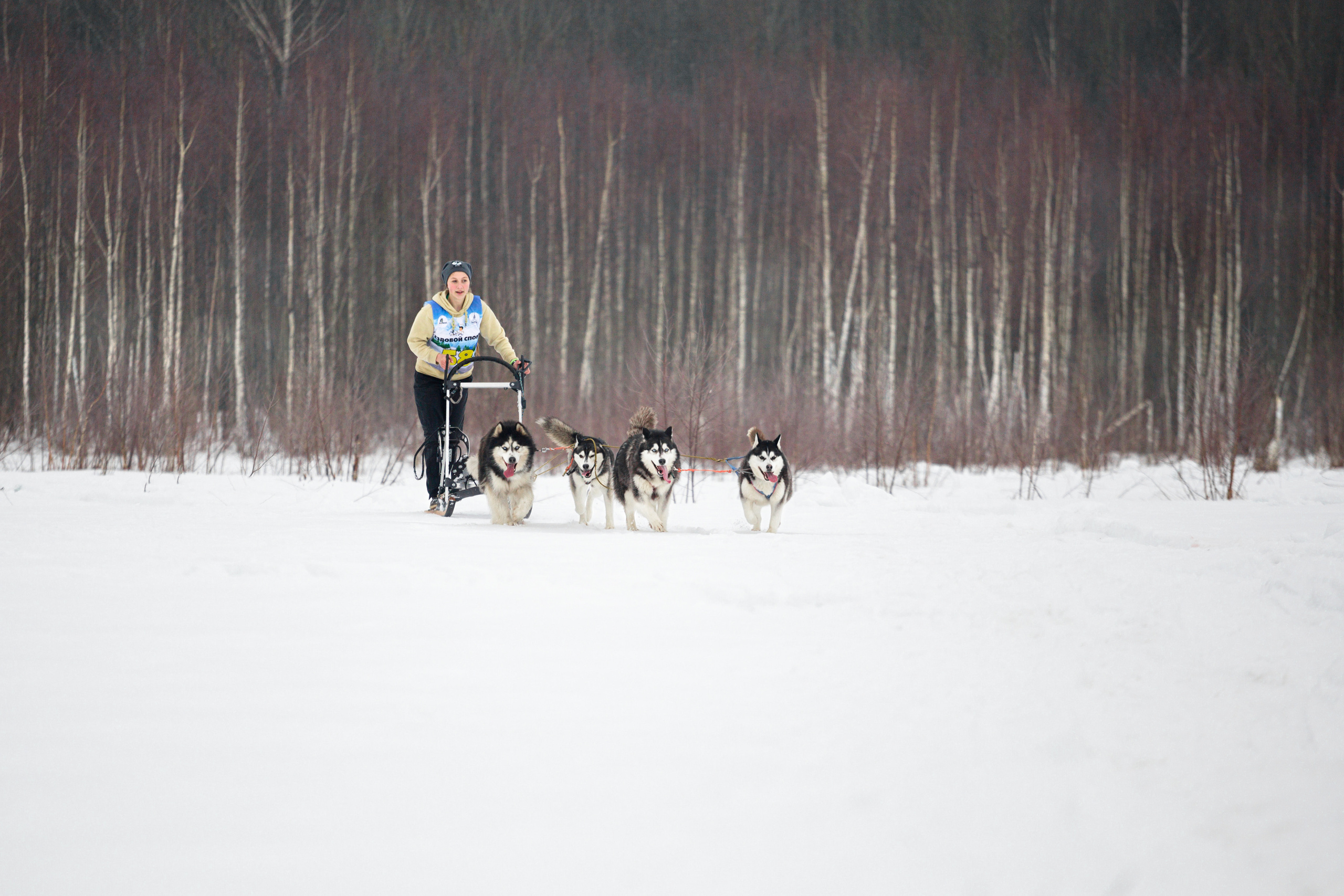 Холодные игры 28 февраля 2022. Фотограф-анималист Татьяна Степанова