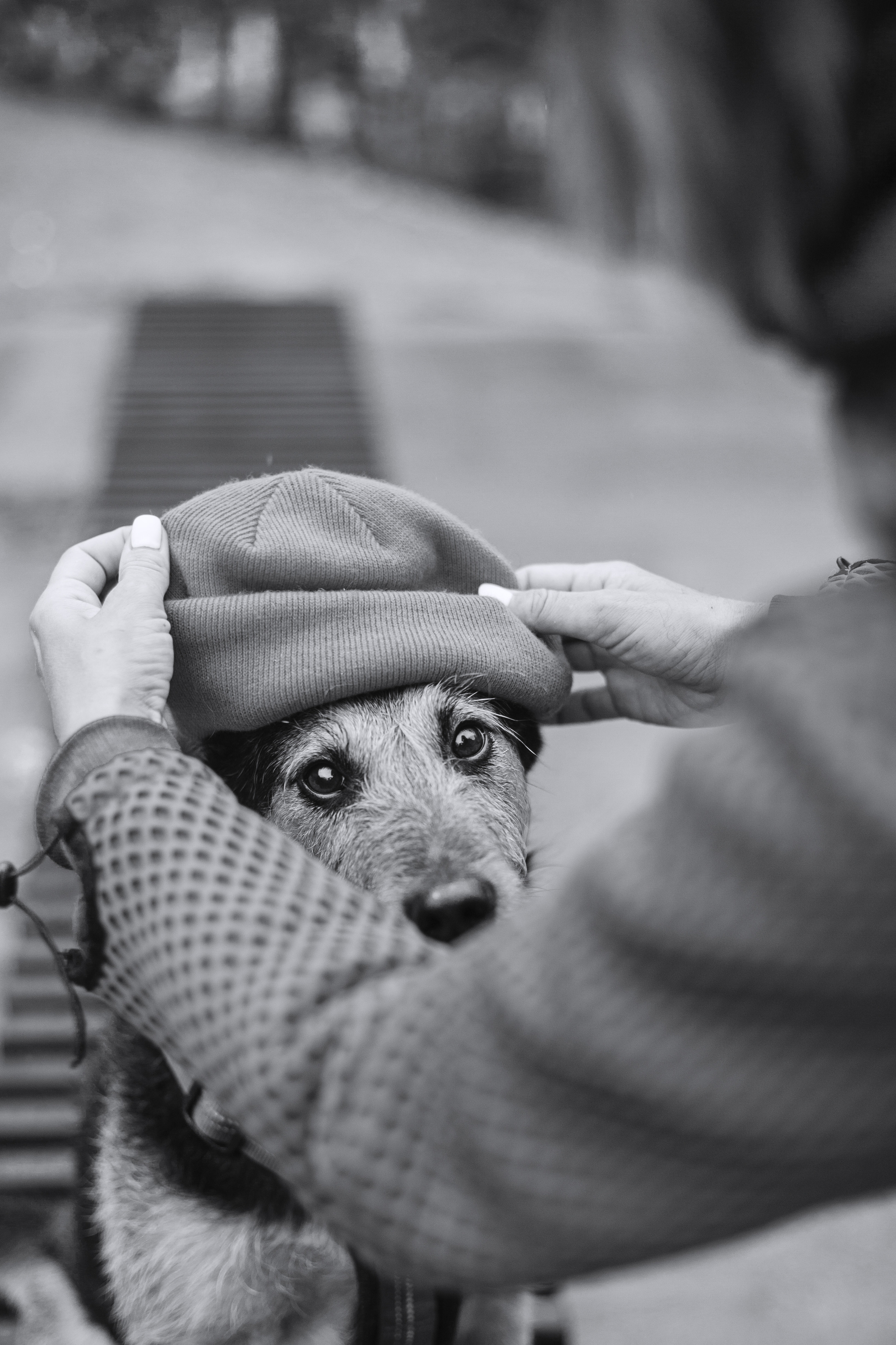 Лиза и Бренда. Фотограф-анималист Татьяна Степанова