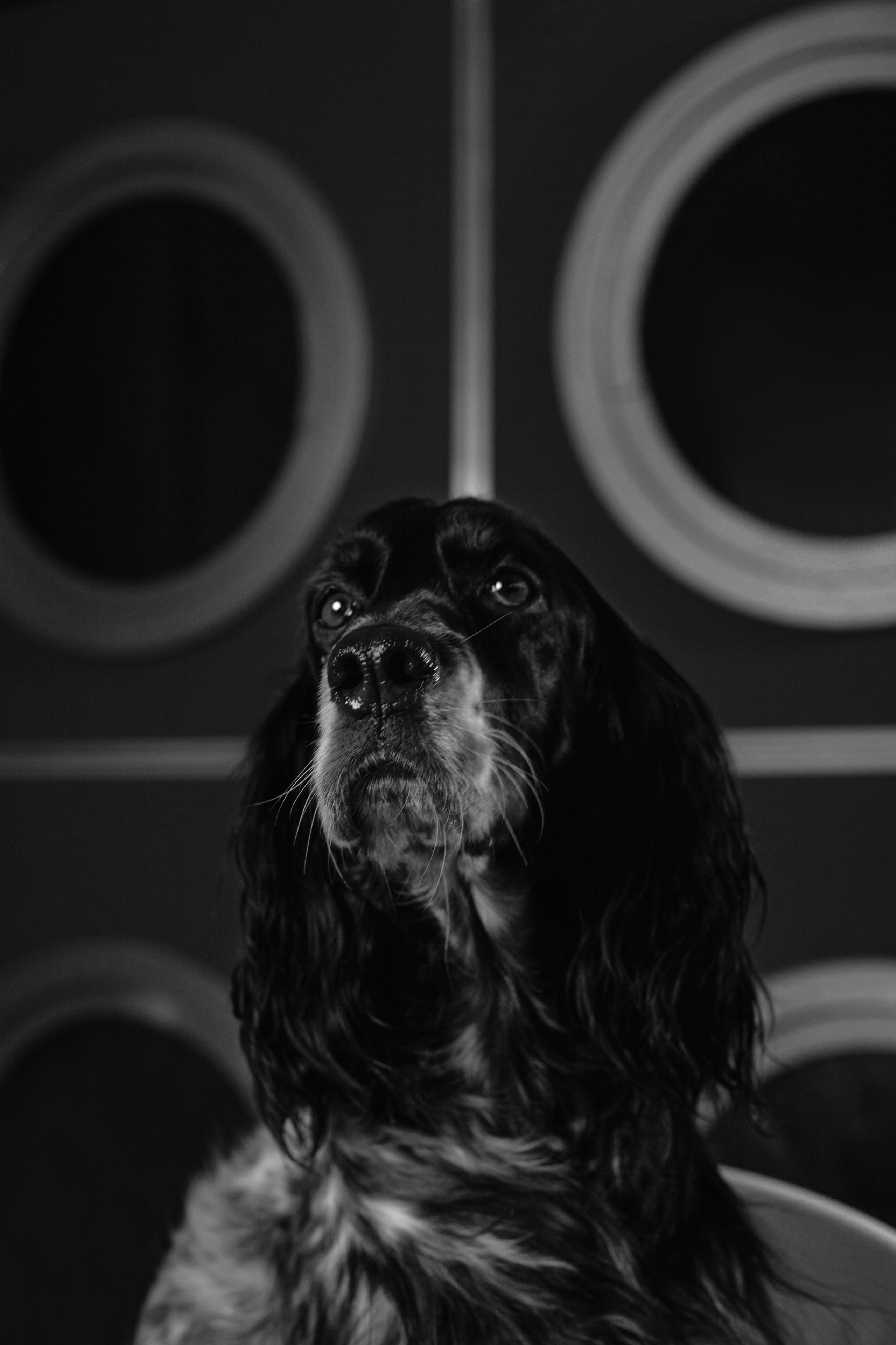 Света и Богдана. Фотограф-анималист Татьяна Степанова