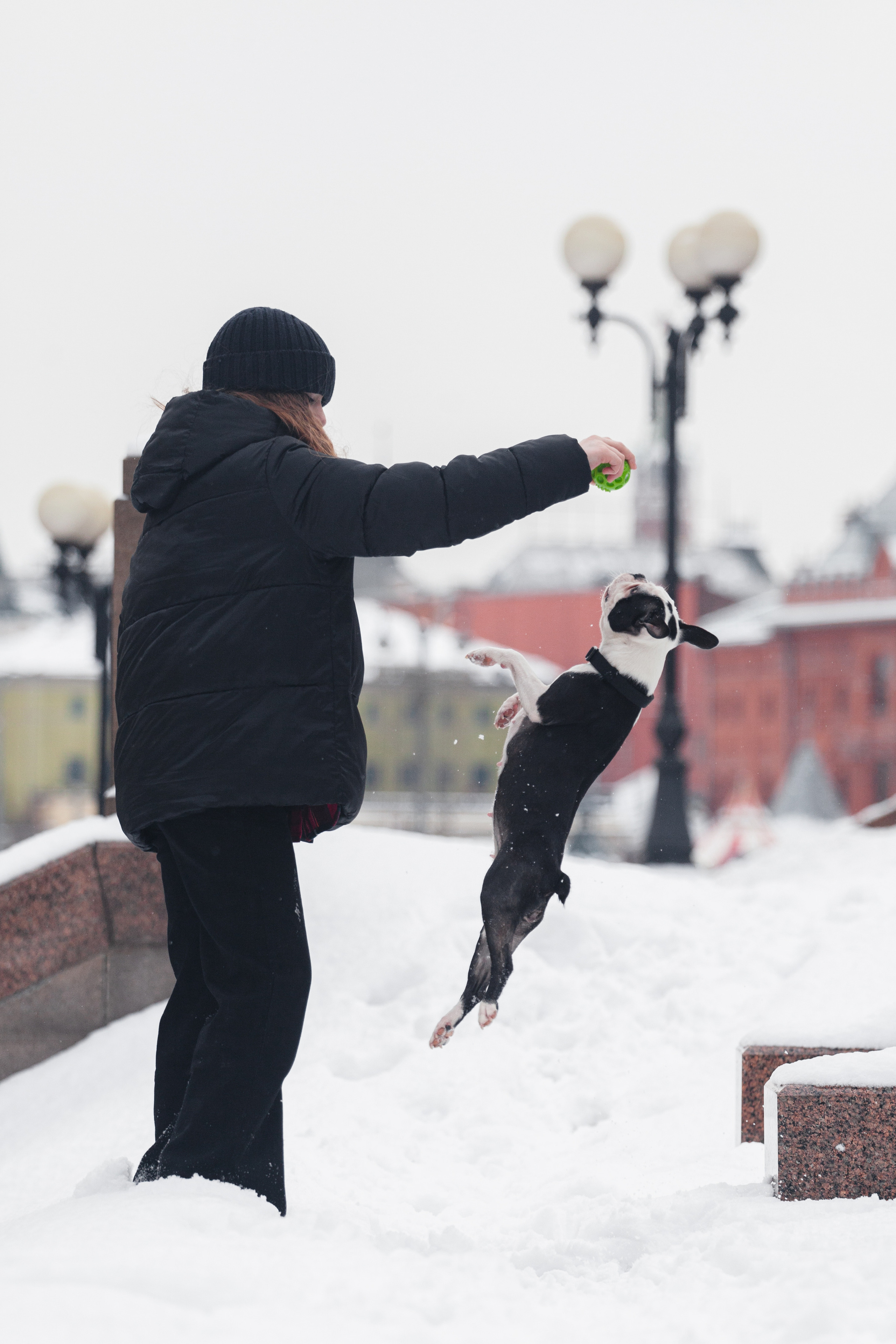 Василиса и Мира Кузнецкий мост. Фотограф-анималист Татьяна Степанова
