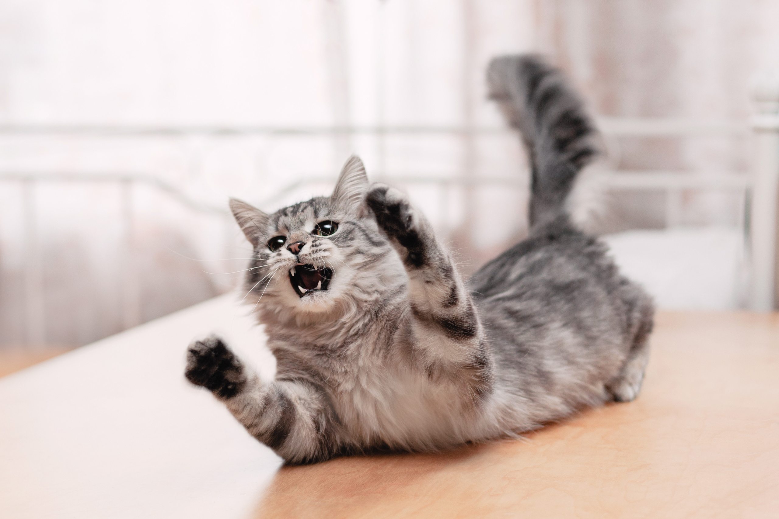 Космос 2023. Фотограф-анималист Татьяна Степанова