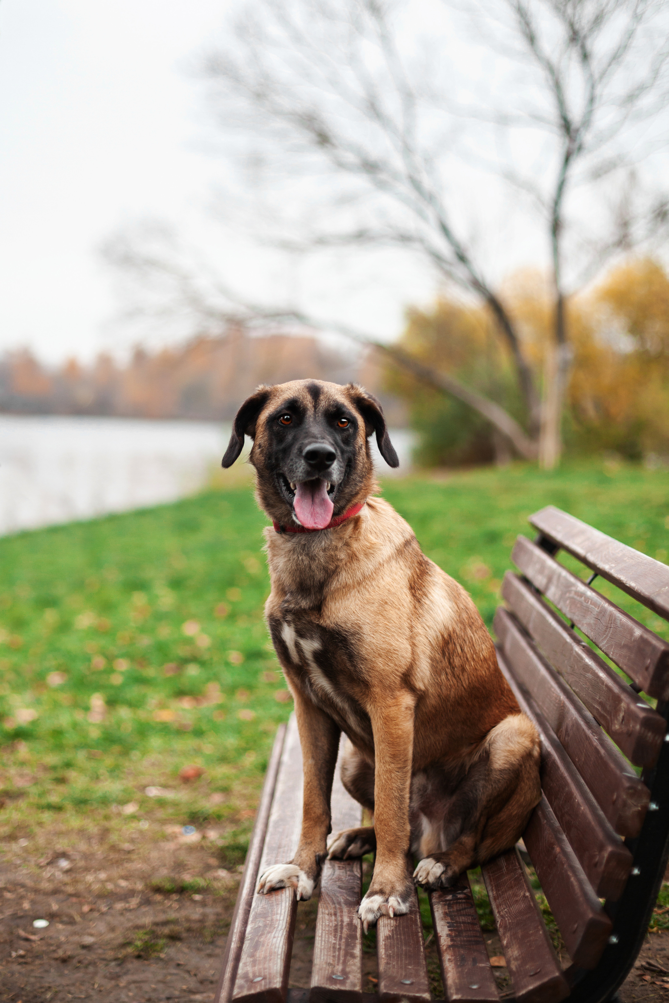 Фучик 2022. Фотограф-анималист Татьяна Степанова