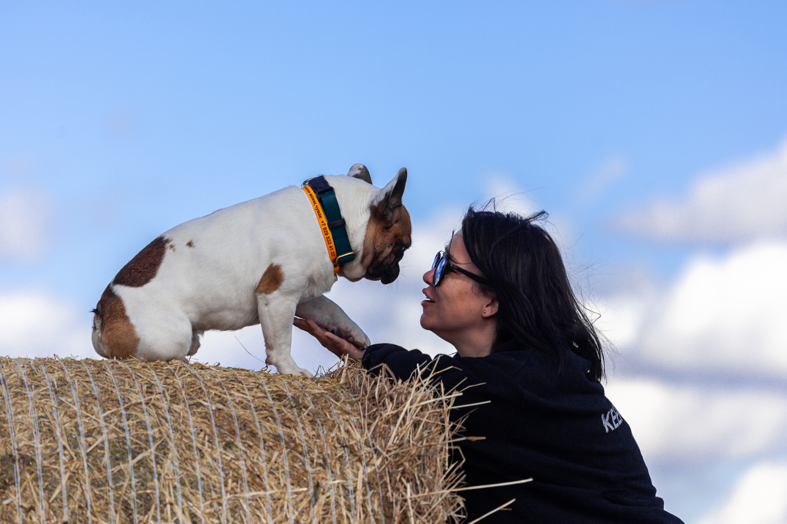 Коломна, стога и подсолнухи. Фотограф-анималист Татьяна Степанова