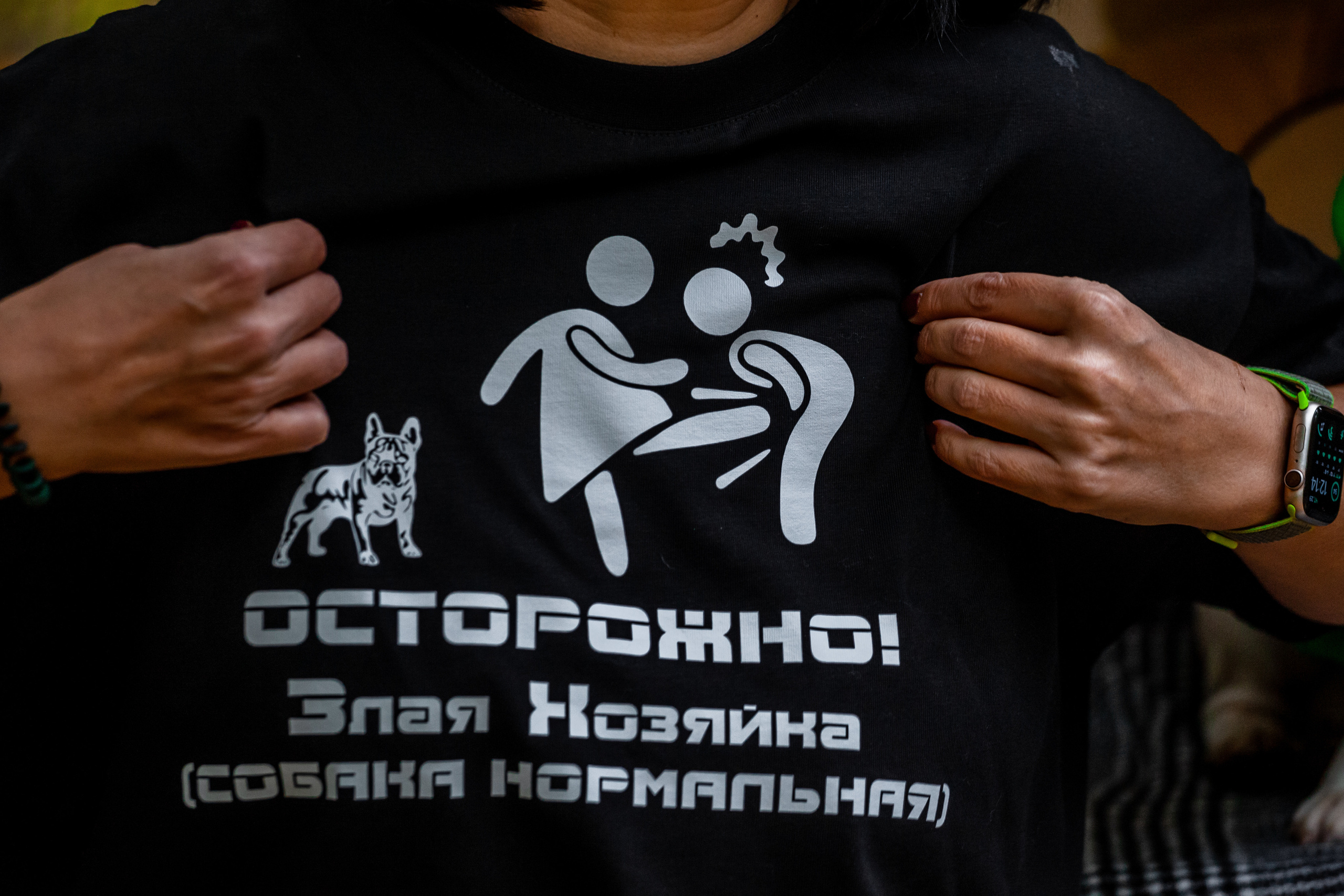 Съемка с ретро автобусом. Фотограф-анималист Татьяна Степанова