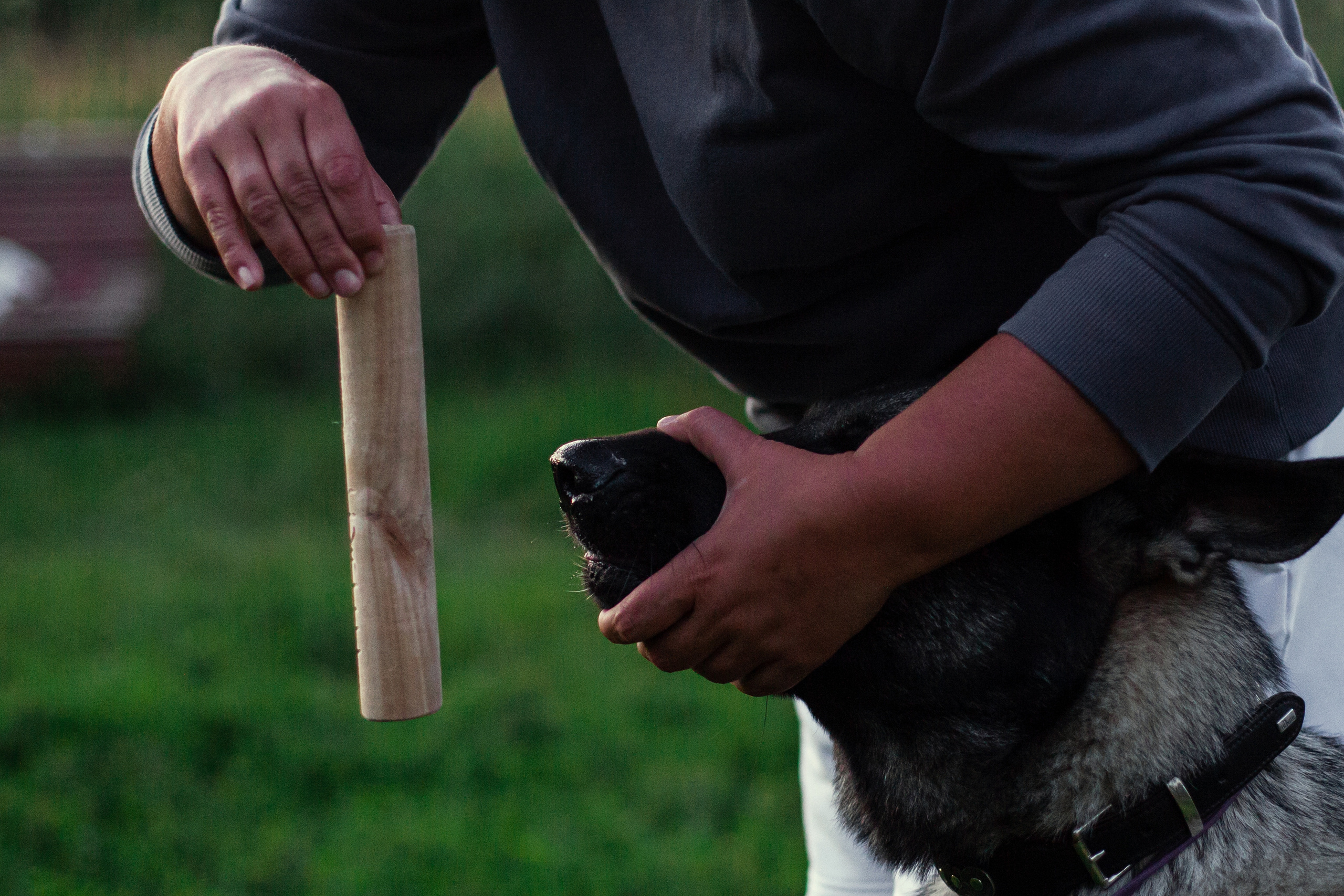 Занятие ЗКС+Выборка 2022. Фотограф-анималист Татьяна Степанова