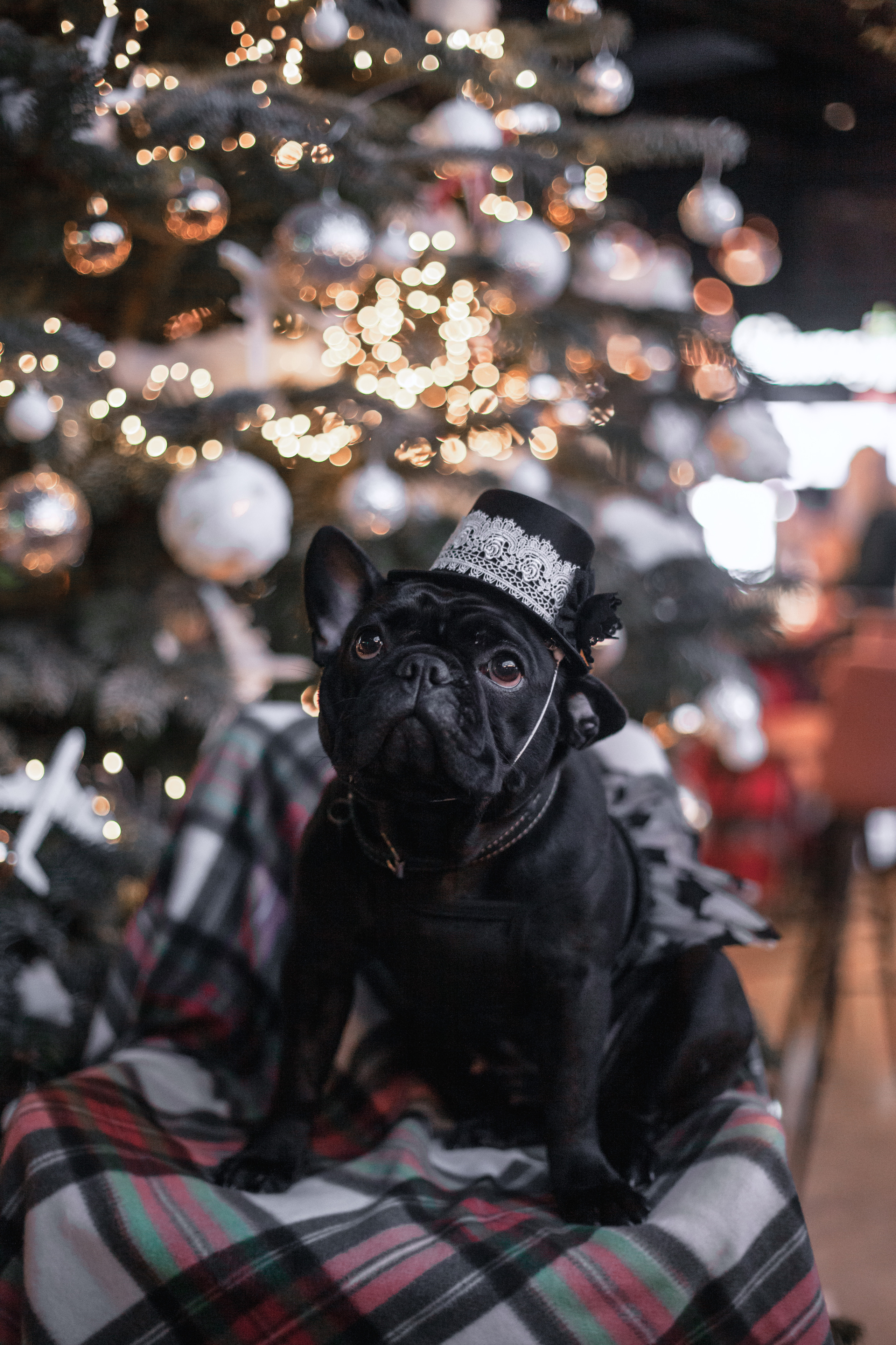 Бульелка 2022. Фотограф-анималист Татьяна Степанова