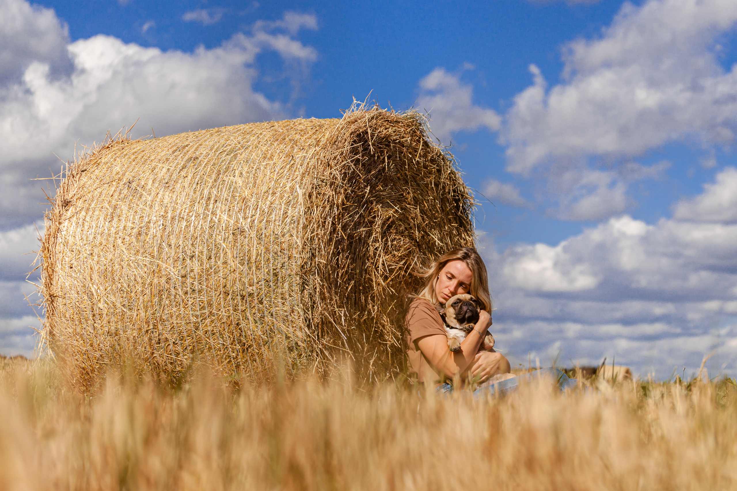 Коломна, стога и подсолнухи. Фотограф-анималист Татьяна Степанова