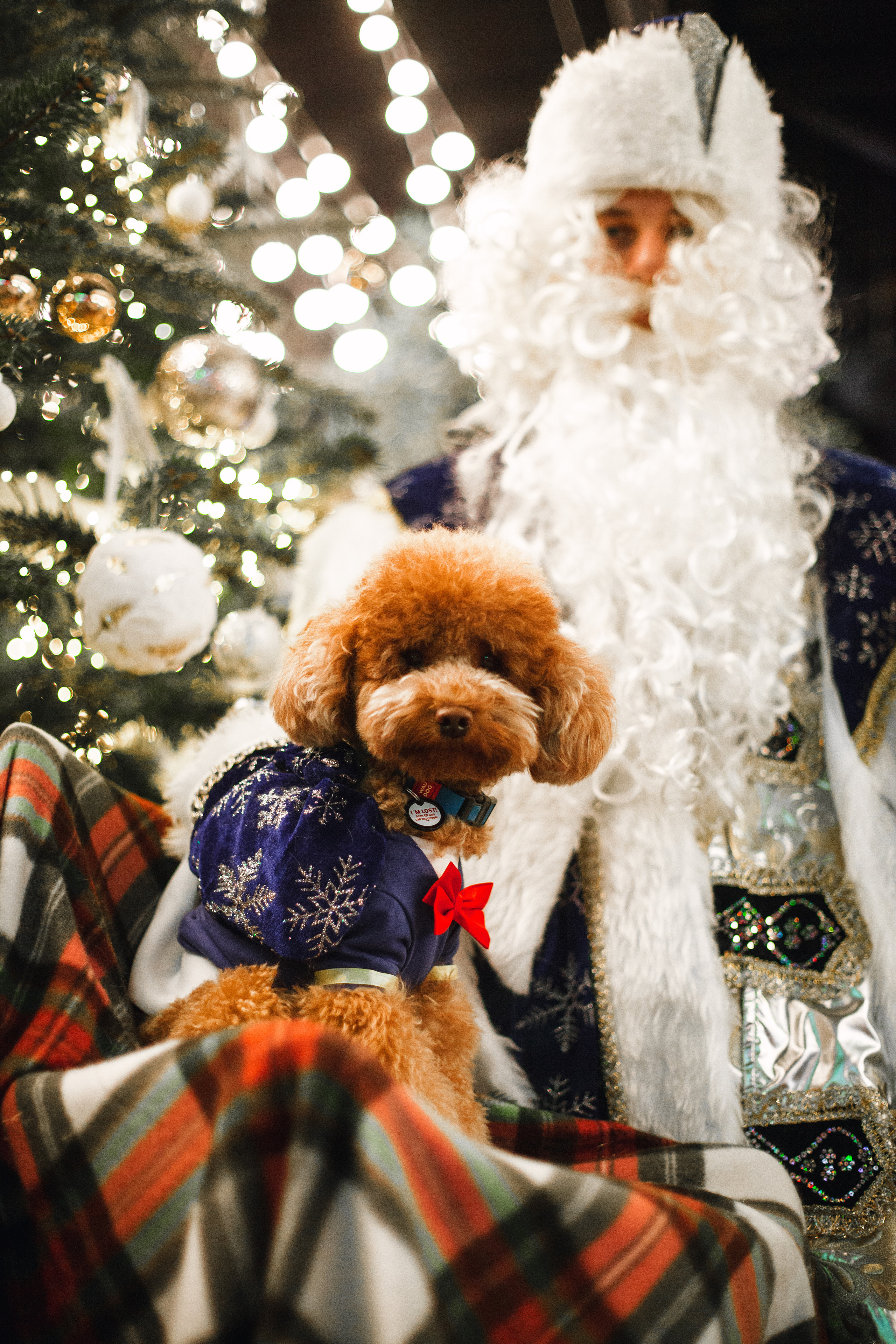 Бульелка 2022. Фотограф-анималист Татьяна Степанова