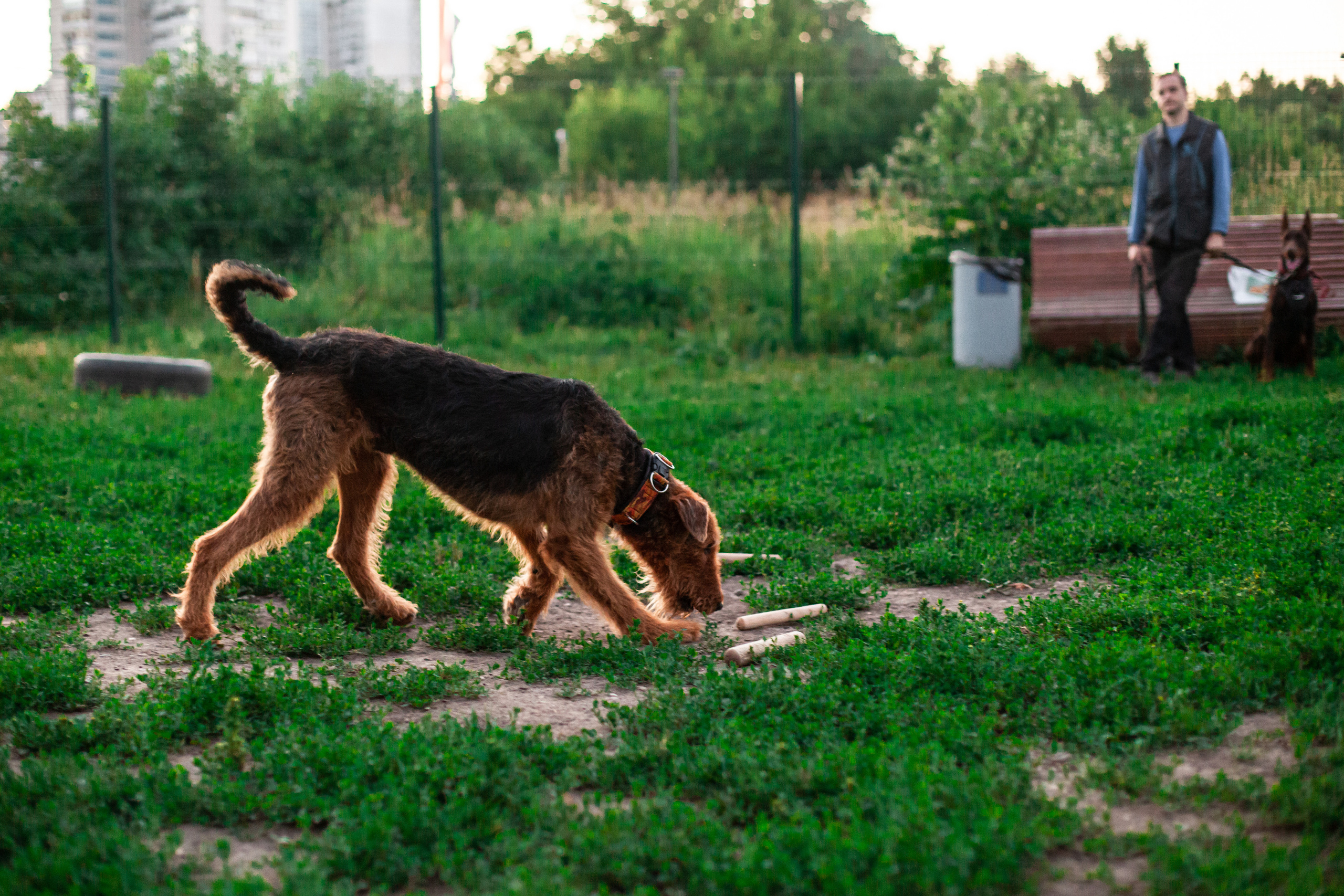 Занятие ЗКС+Выборка 2022. Фотограф-анималист Татьяна Степанова